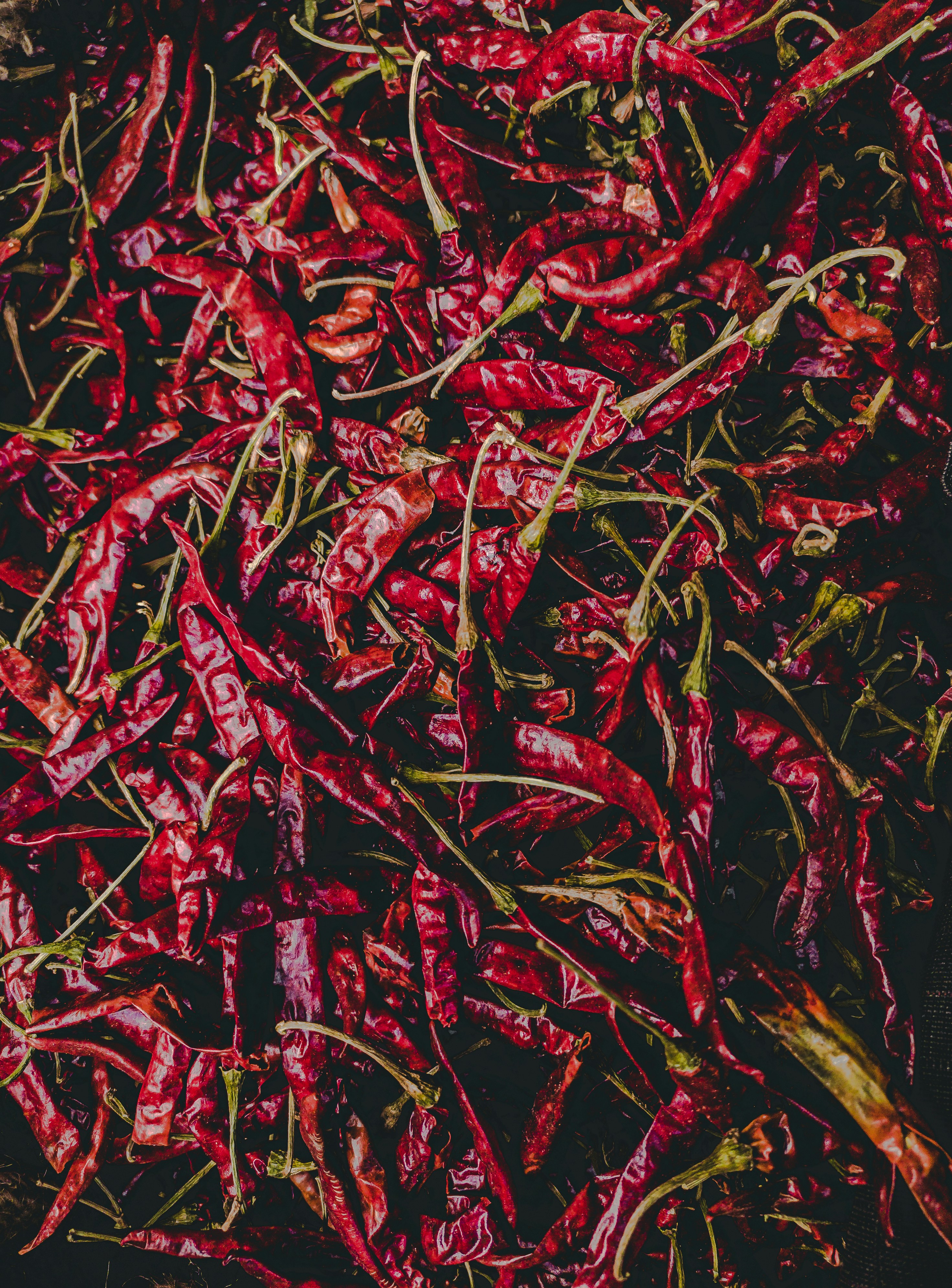 Photo by shutterbug_19_