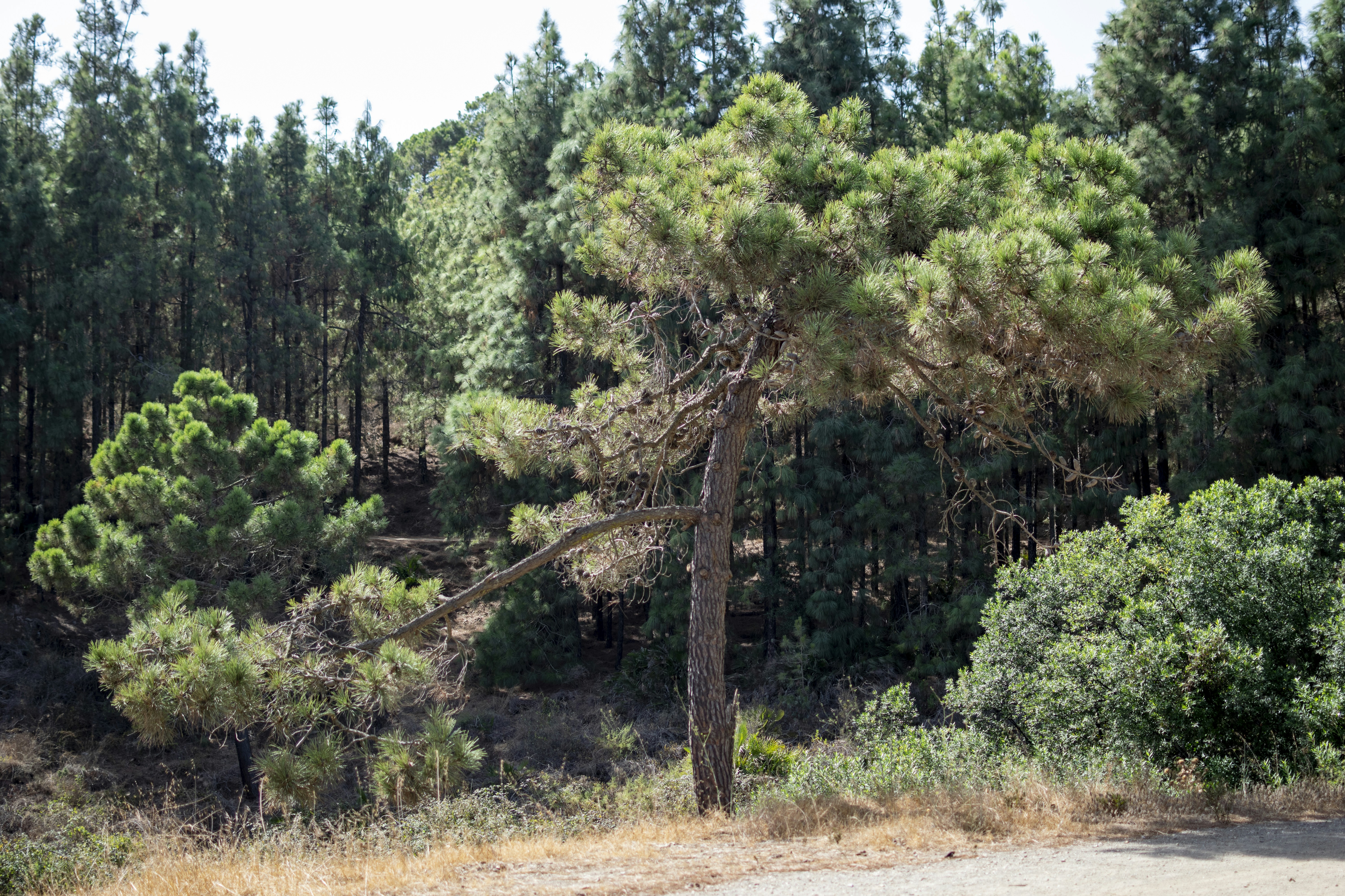 Photo by rafagarrido