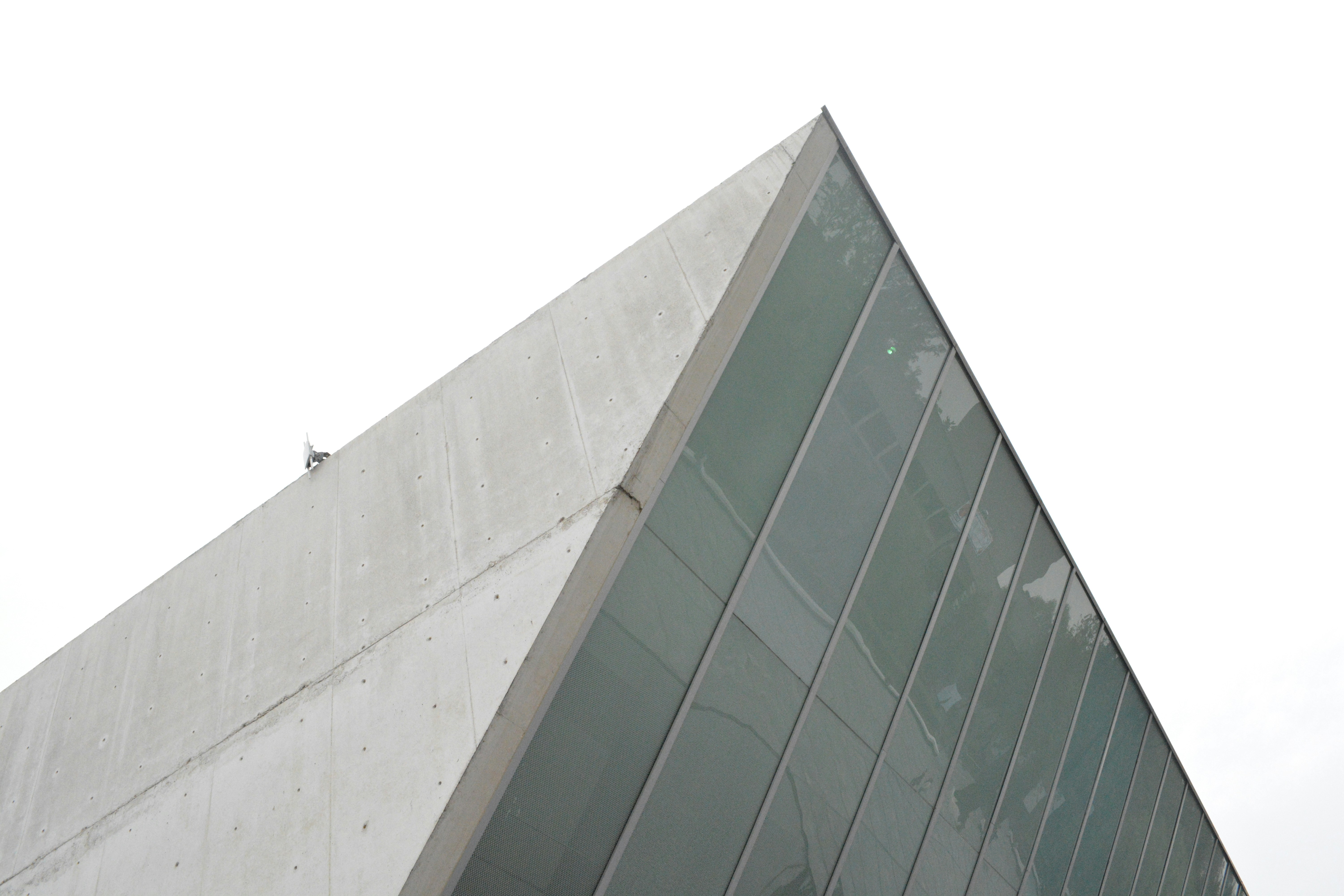 Photo by fabianamena