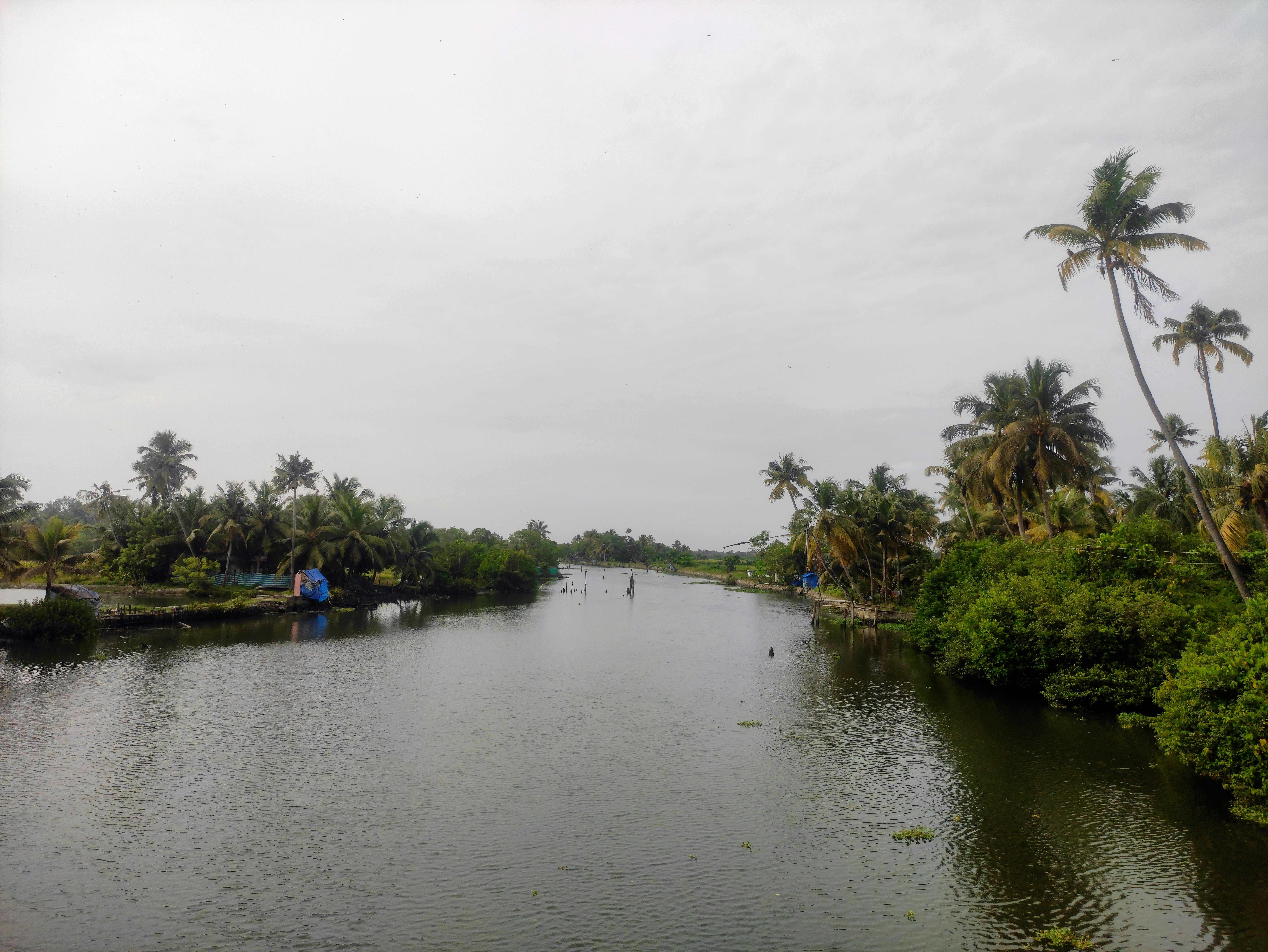 Photo by vathikulam
