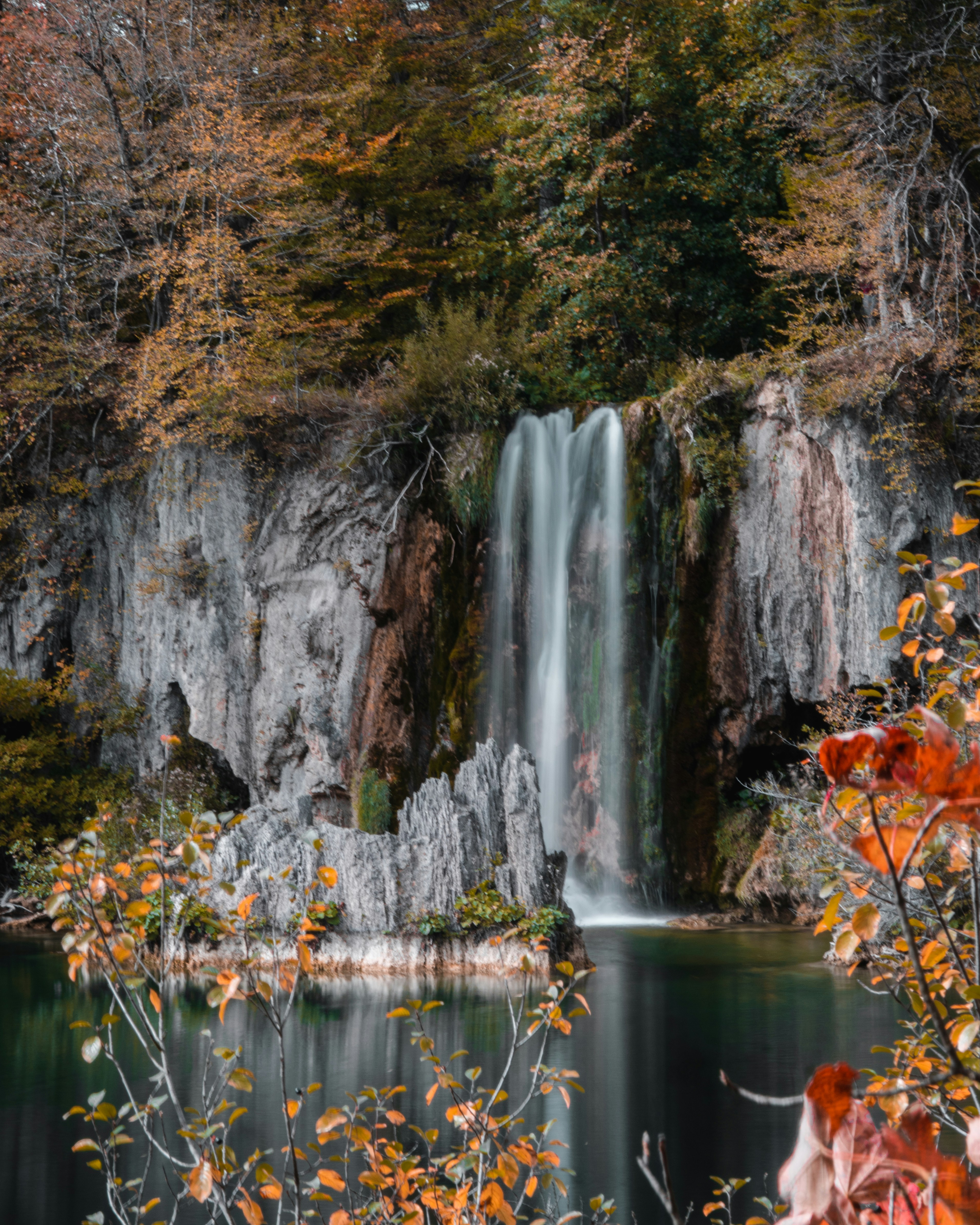 Photo by silentphocro