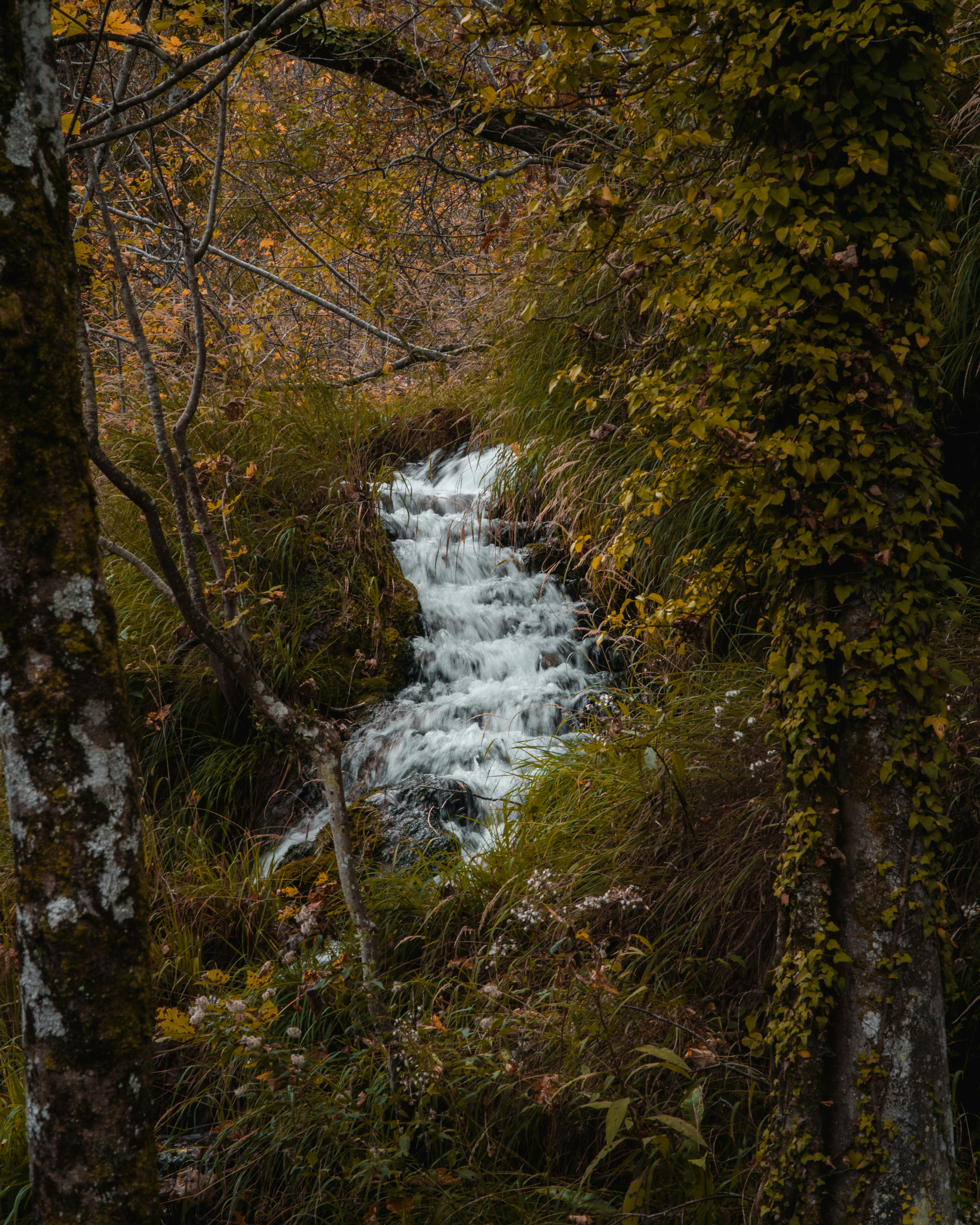 Photo by silentphocro