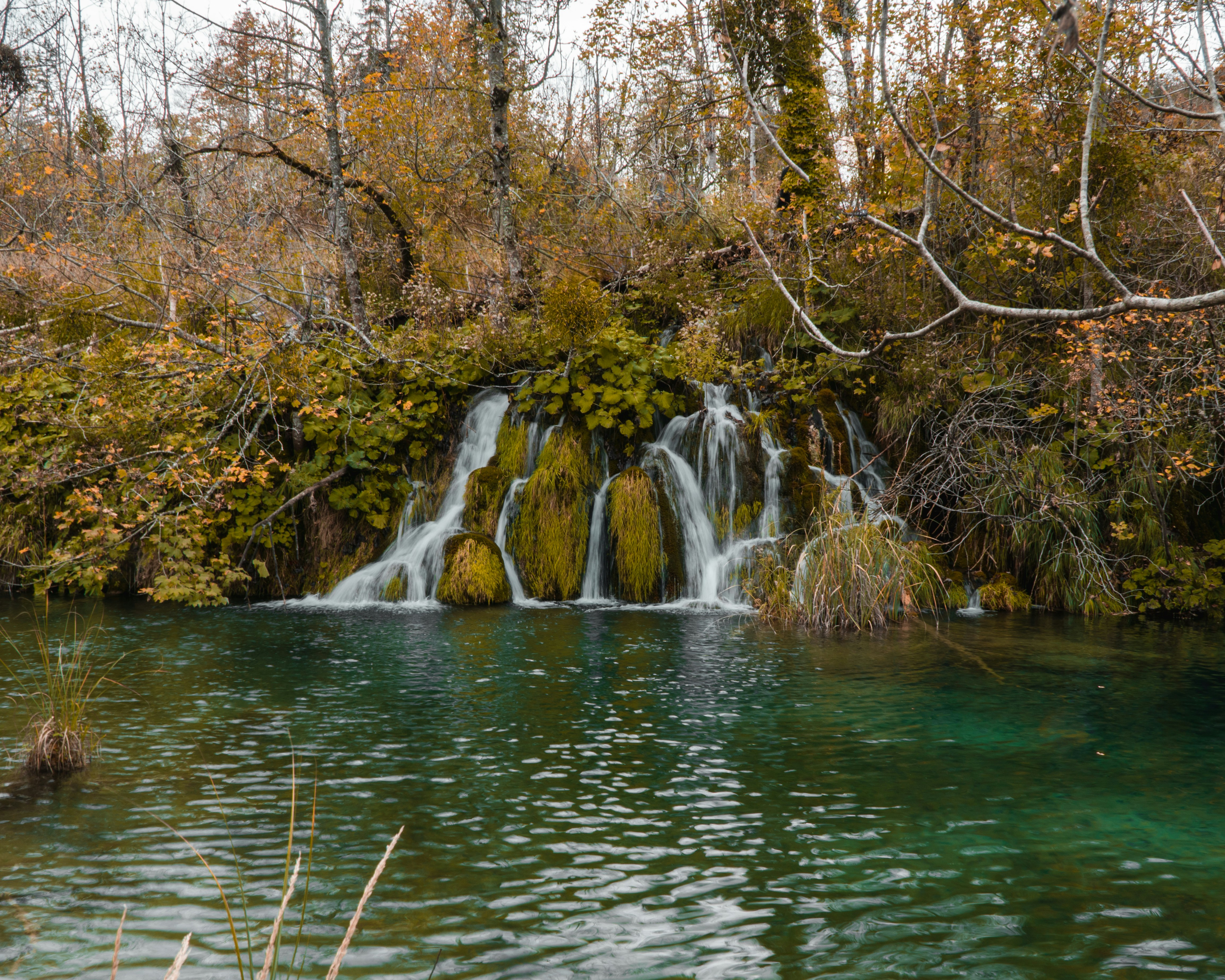 Photo by silentphocro