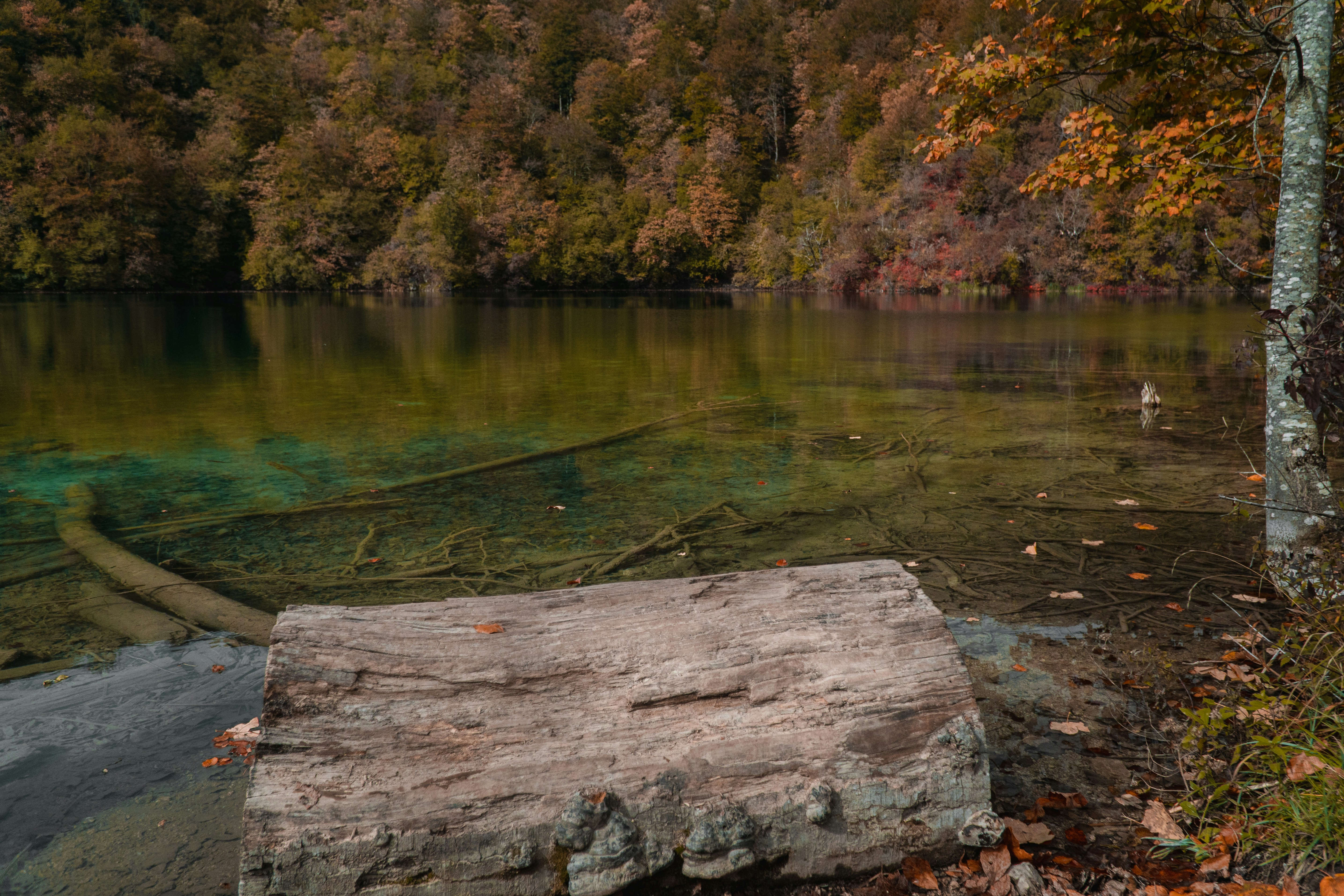 Photo by silentphocro