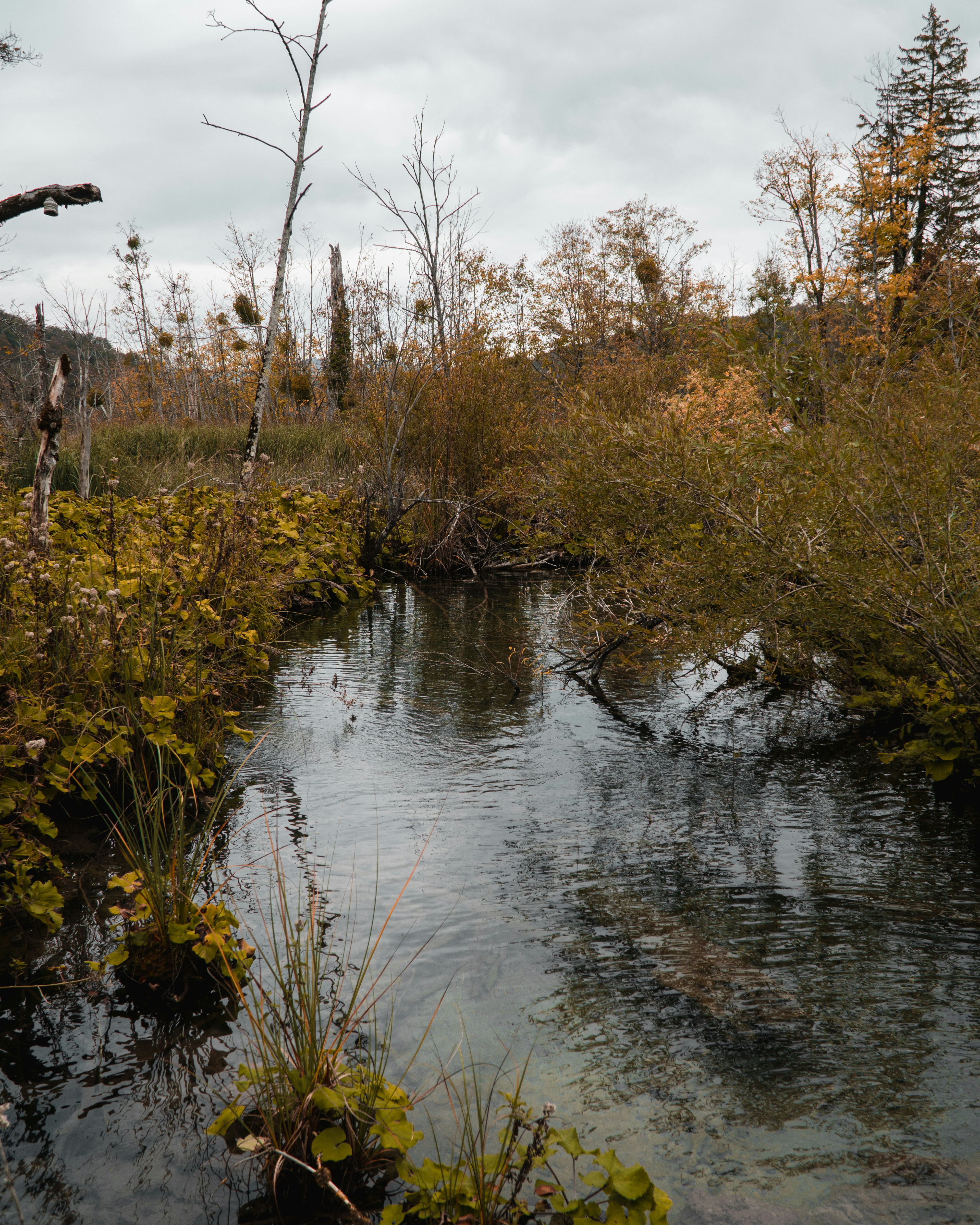 Photo by silentphocro