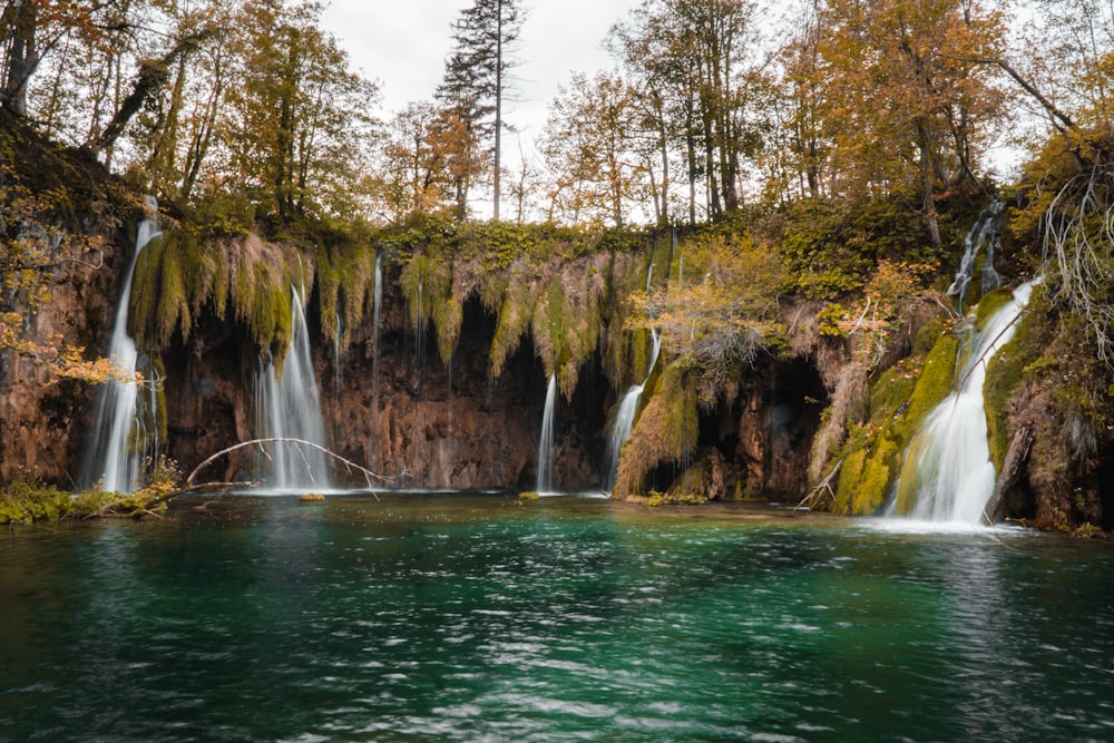 a waterfall with trees around it