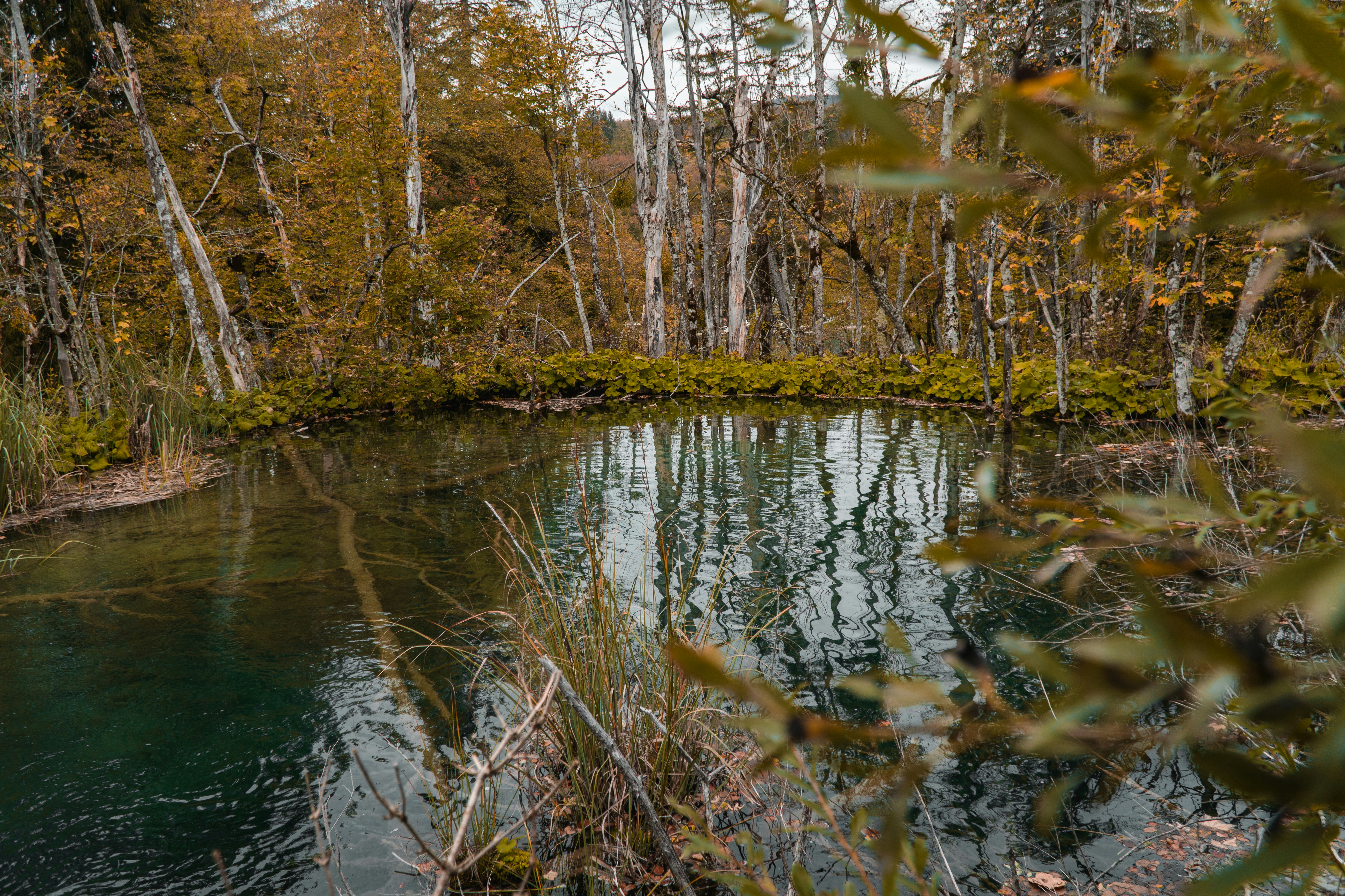 Photo by silentphocro