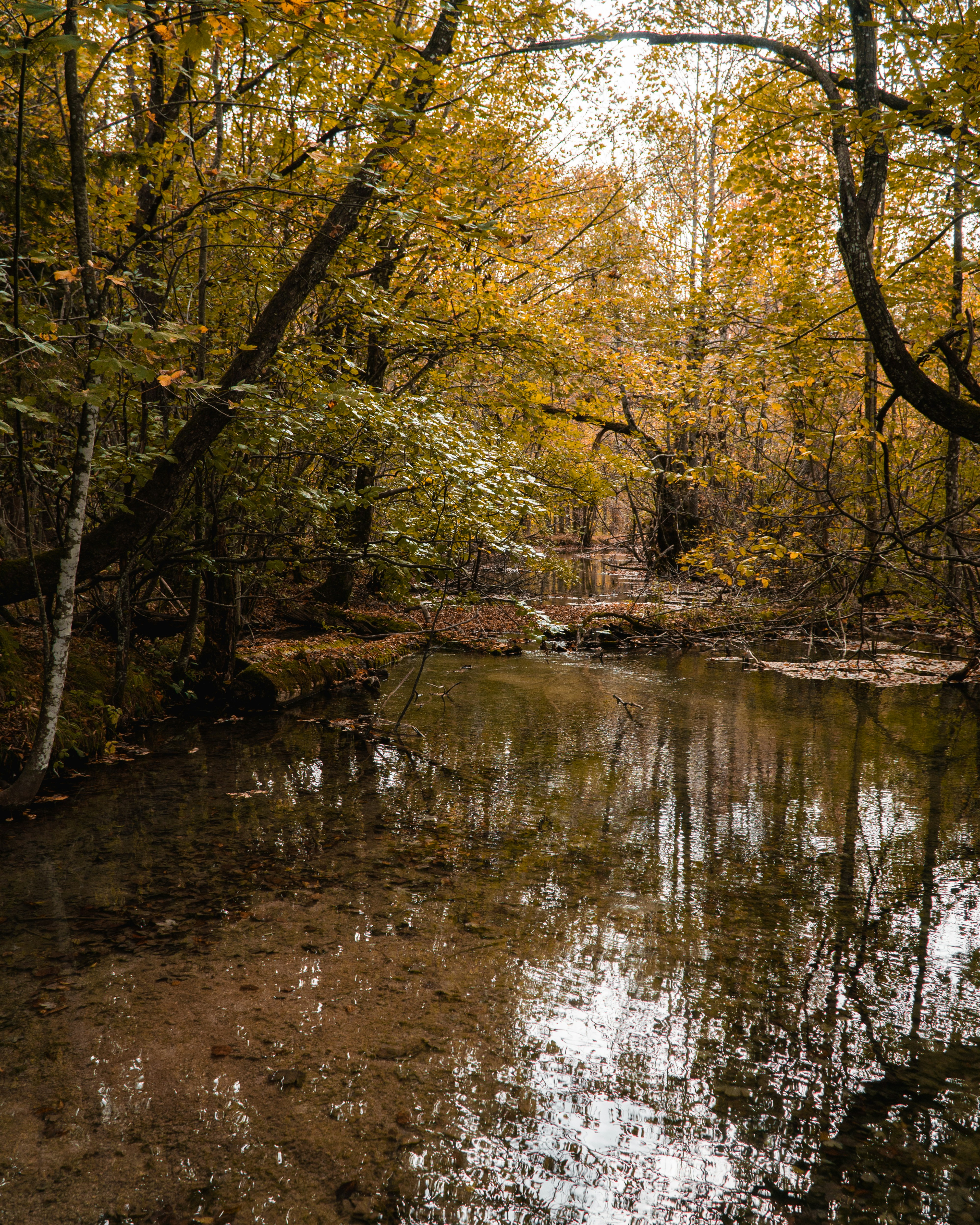 Photo by silentphocro