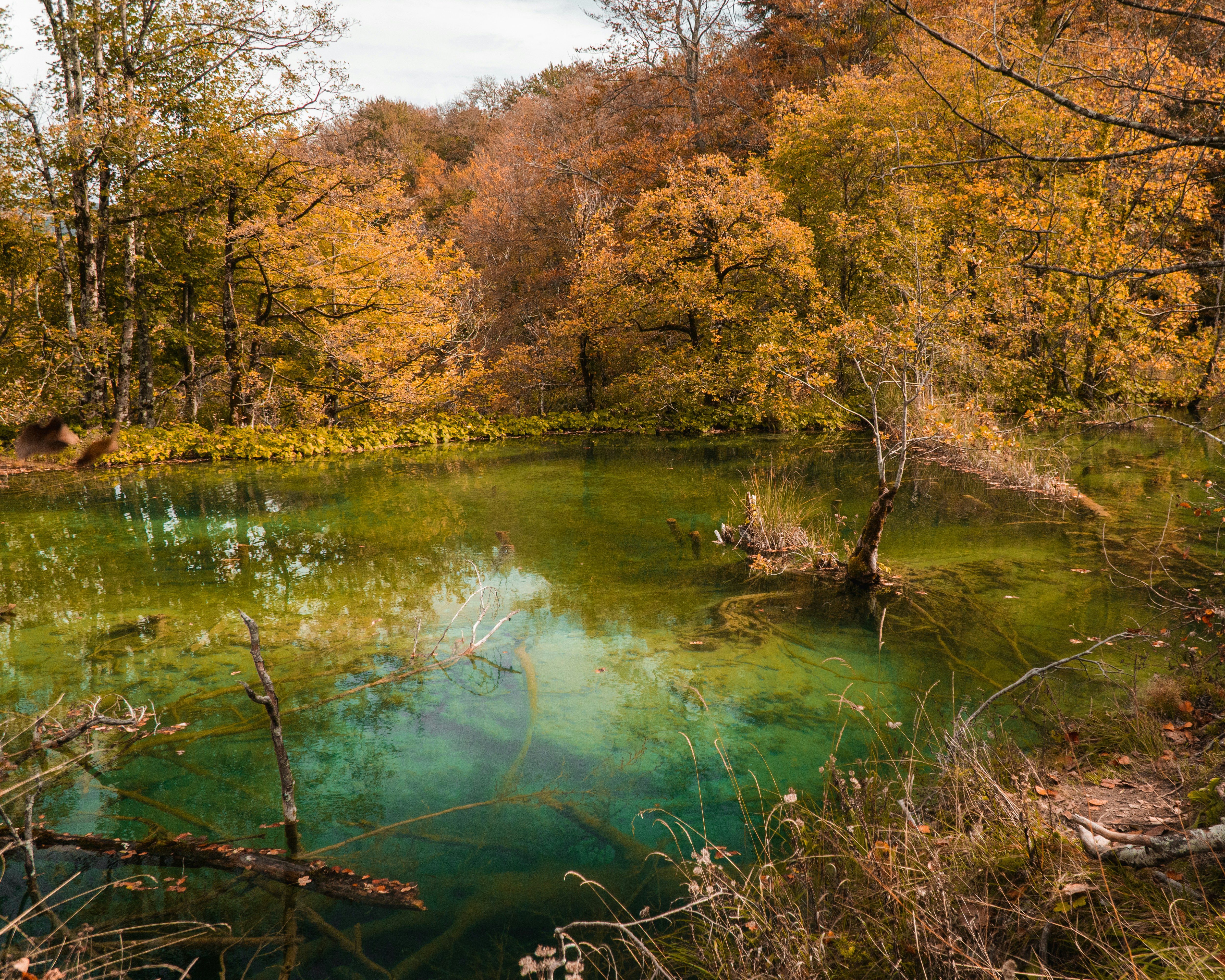 Photo by silentphocro