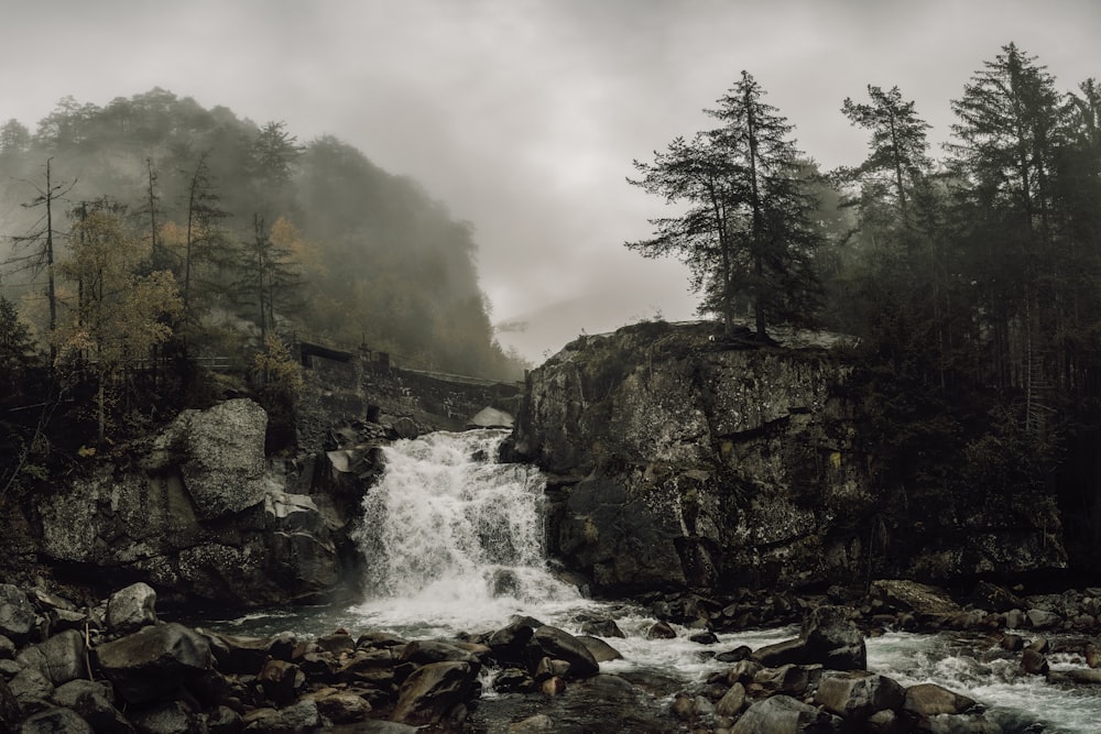 a waterfall with trees around it