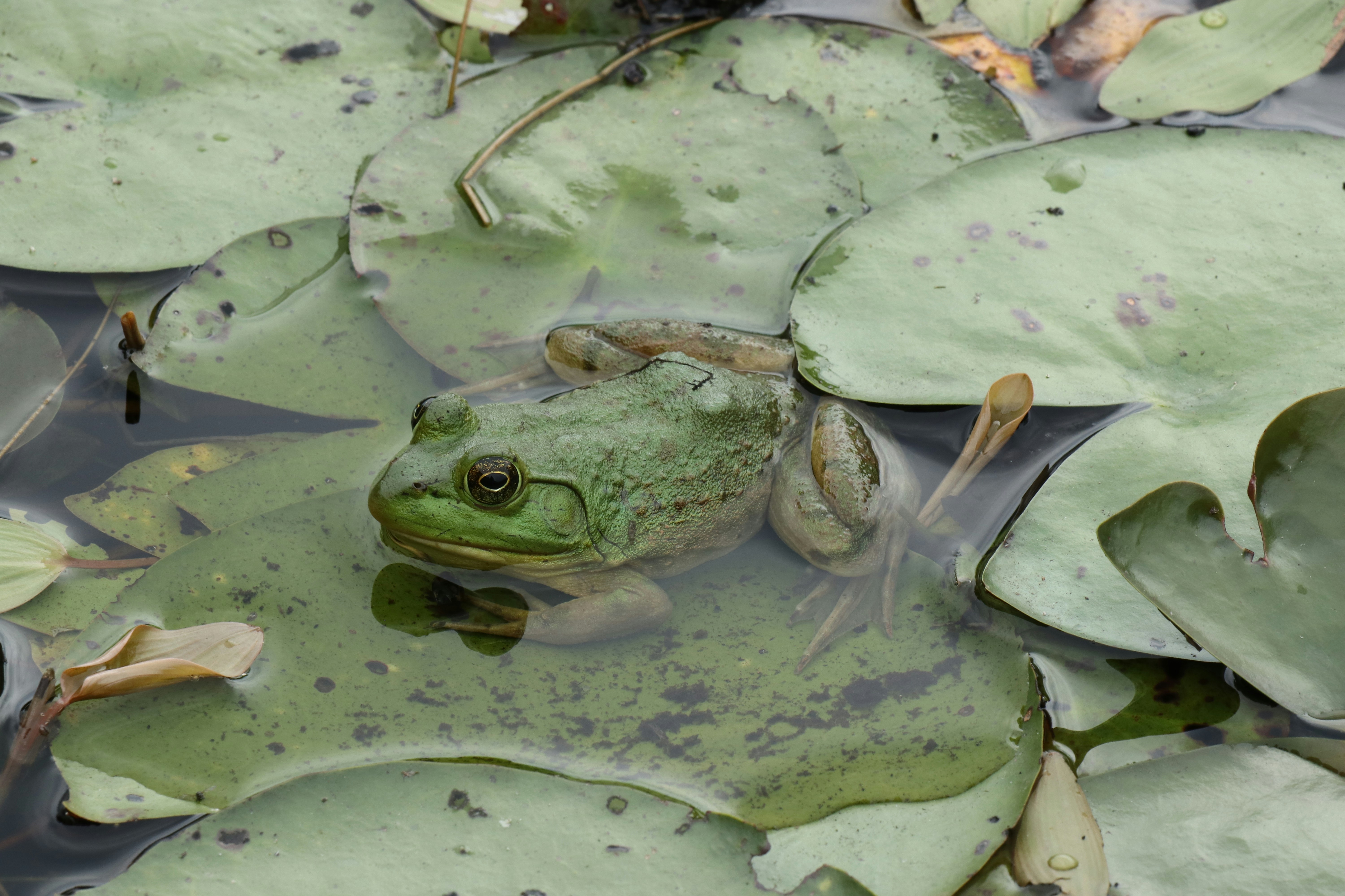 Photo by shayyyyyyyna