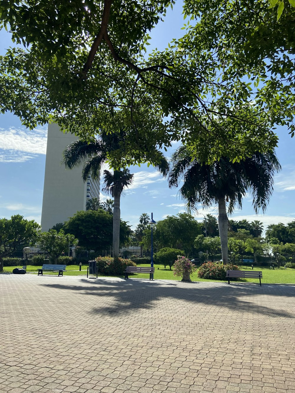 Ein Park mit Bänken und Bäumen