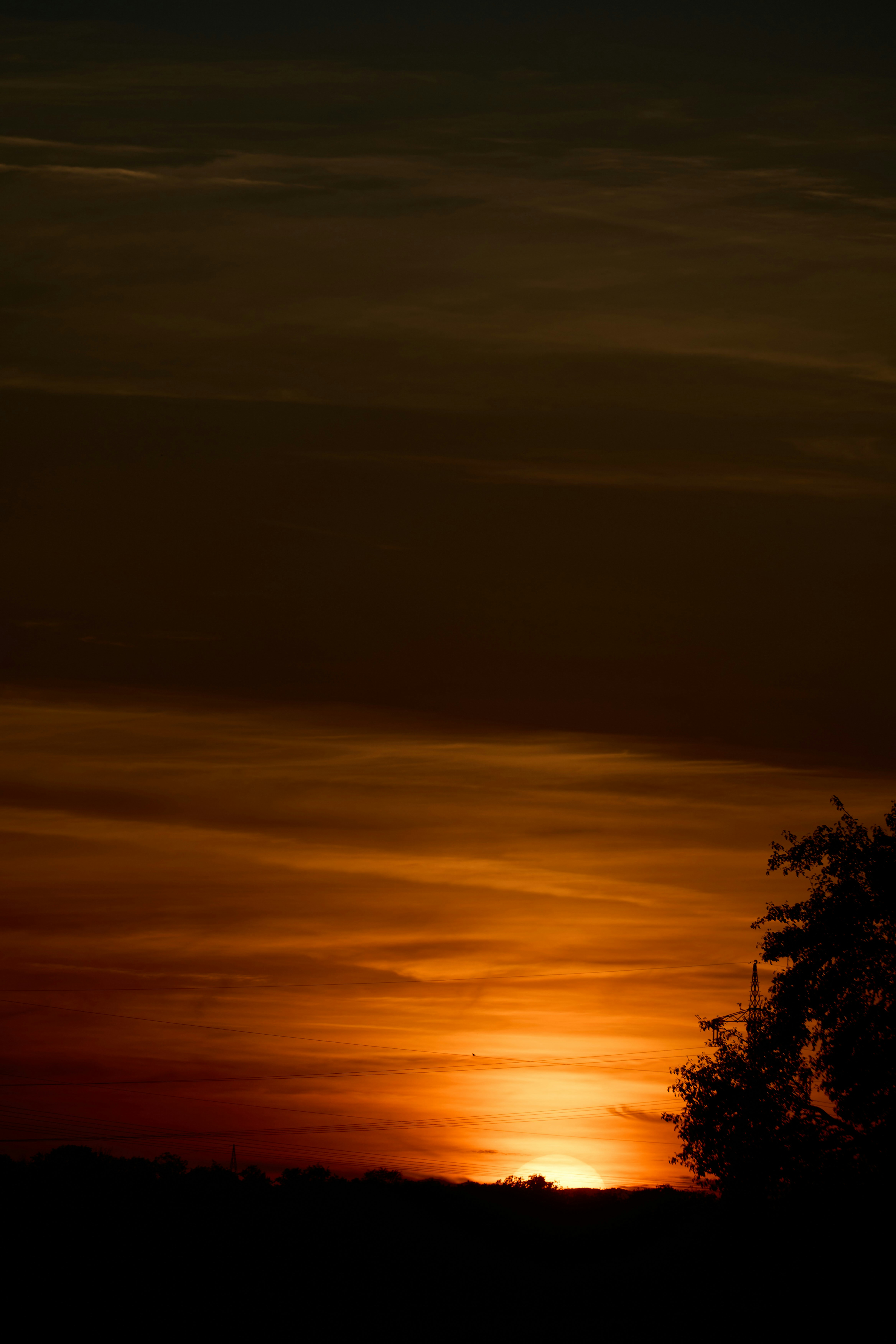 Photo by wolfgang_hasselmann