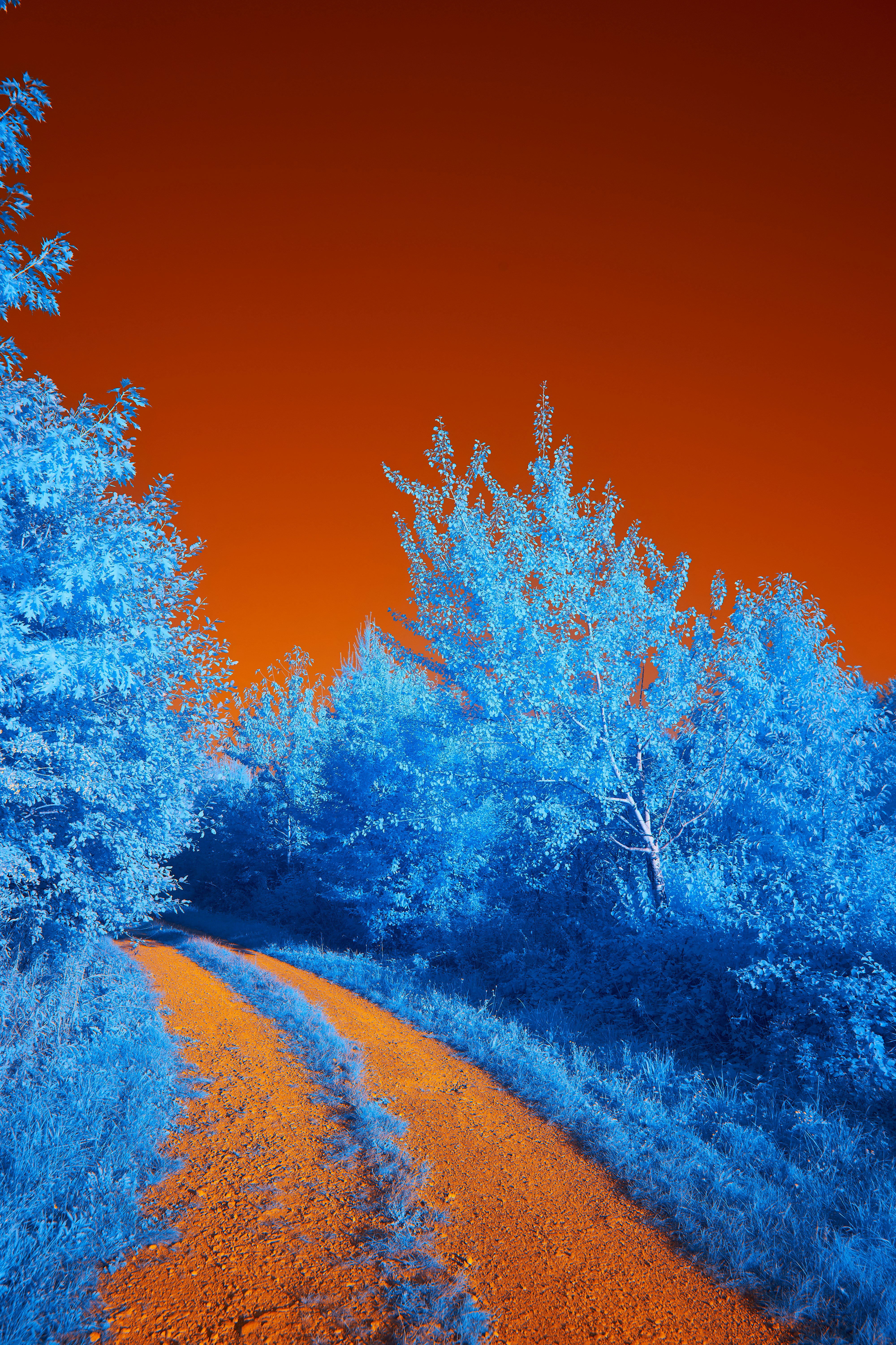 Photo by wolfgang_hasselmann