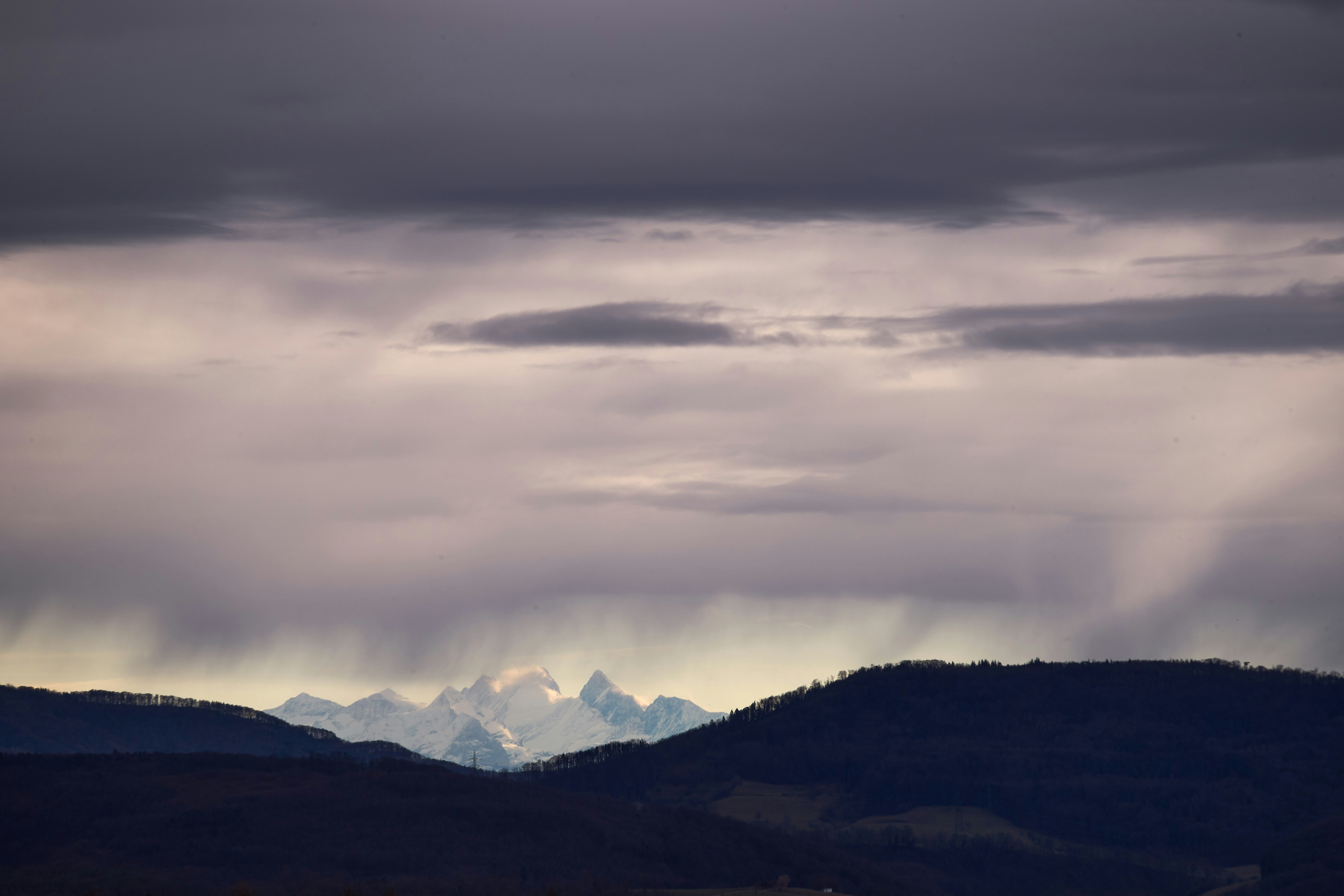 Photo by wolfgang_hasselmann