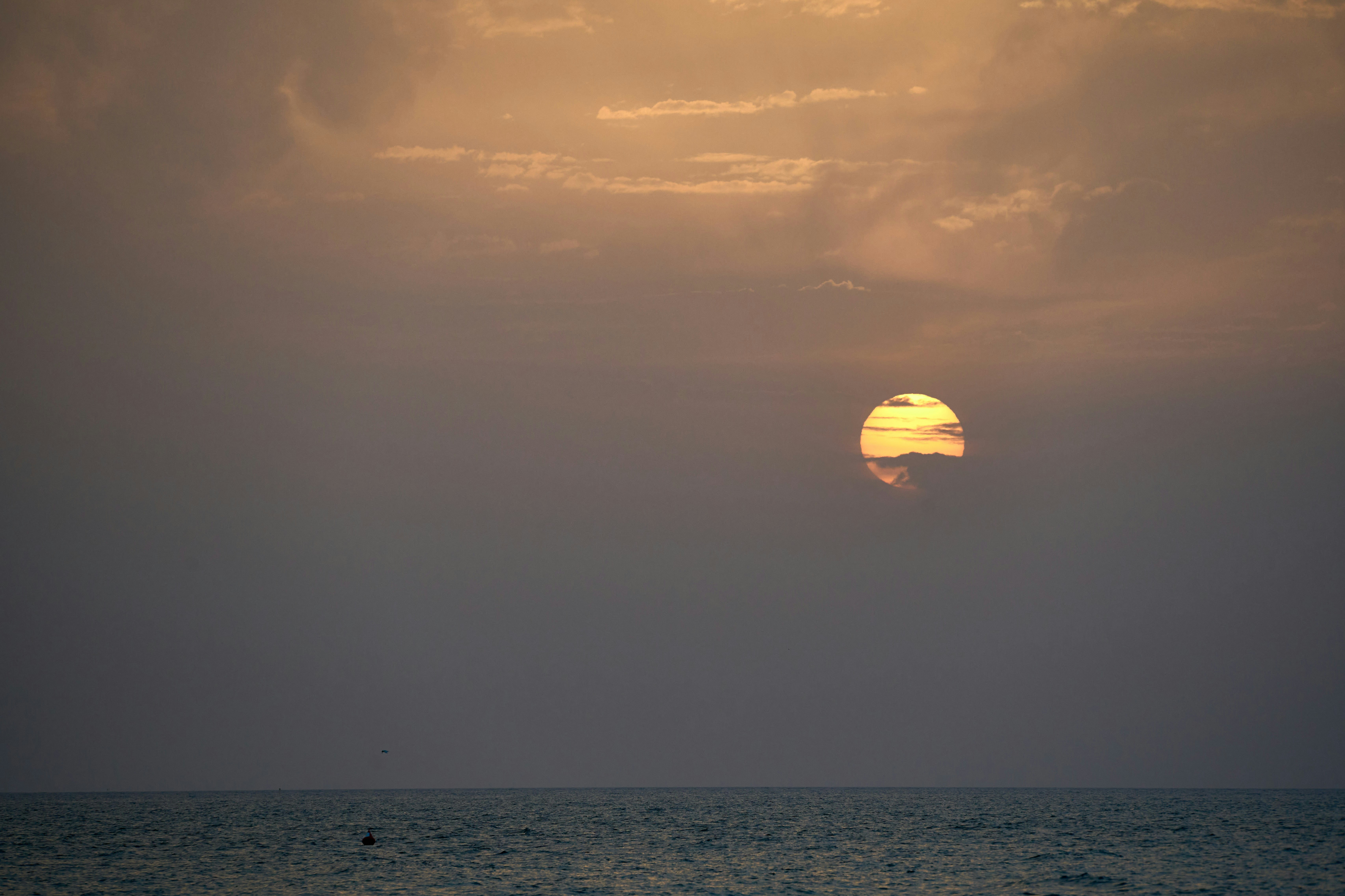 Photo by wolfgang_hasselmann