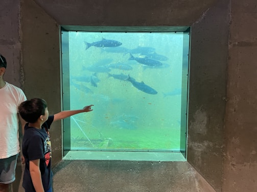 A toddler excitedly pointing at animals in a lively city zoo enclosure.