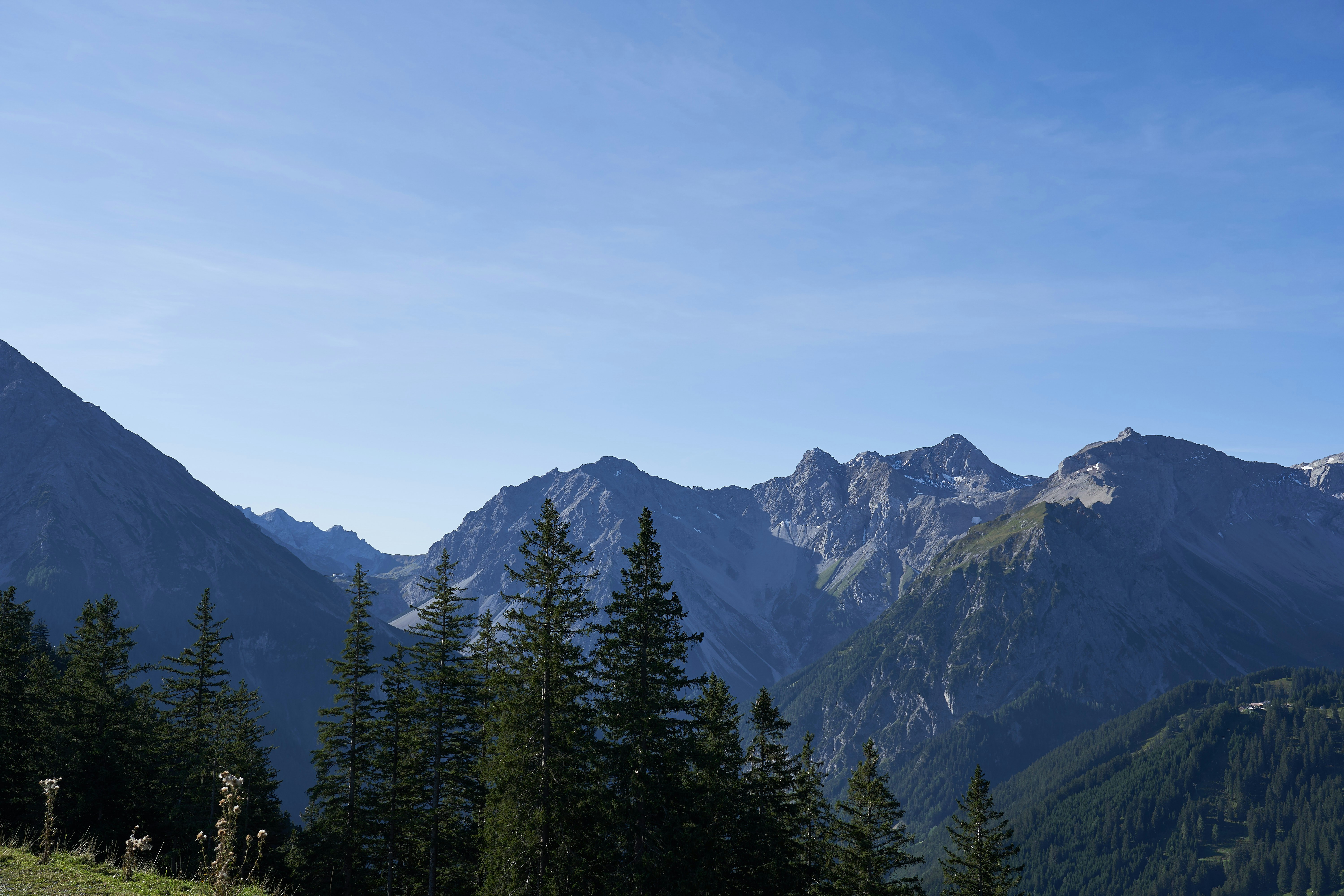 Photo by wolfgang_hasselmann