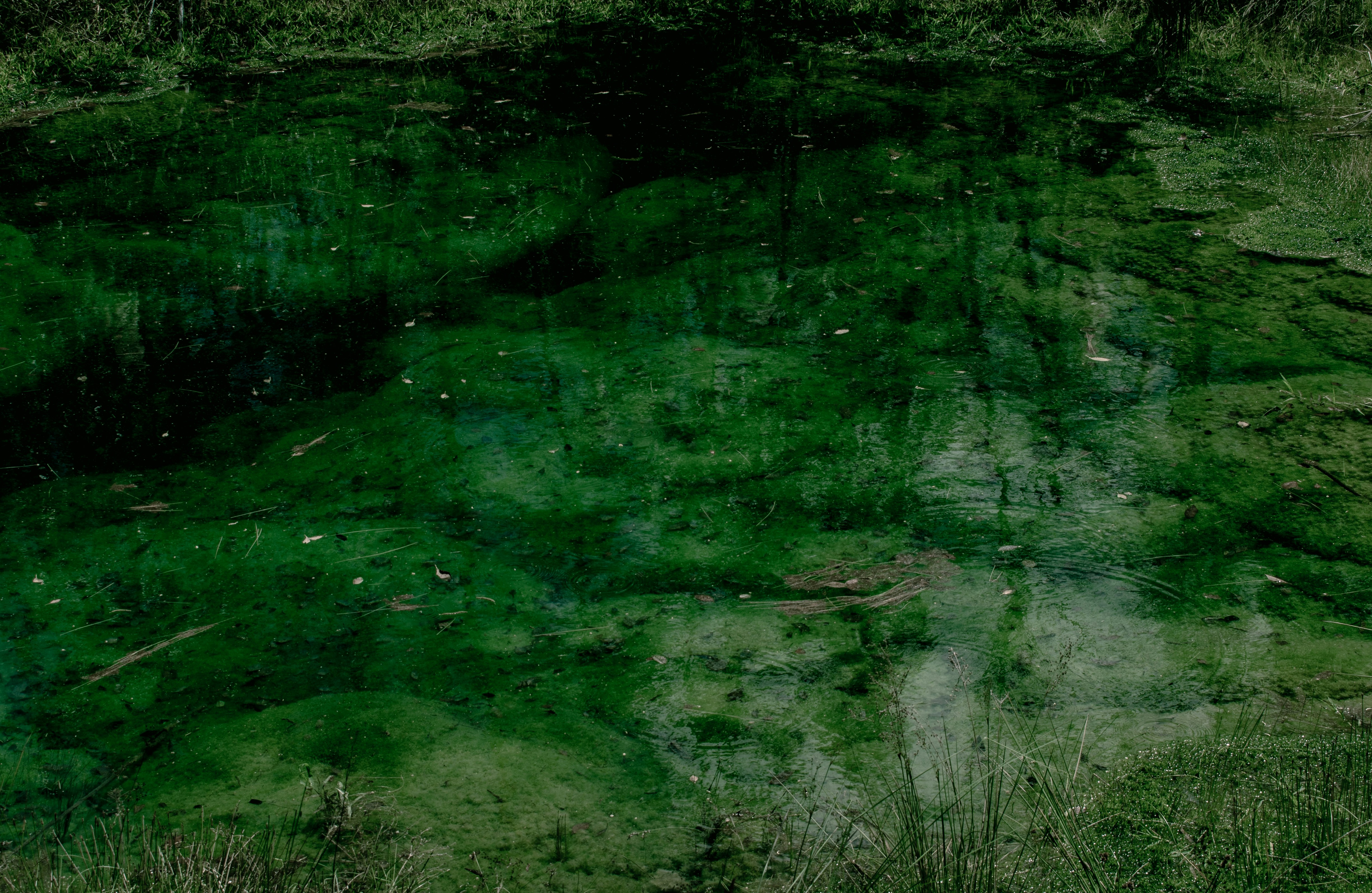 Photo by sebaslav_ph