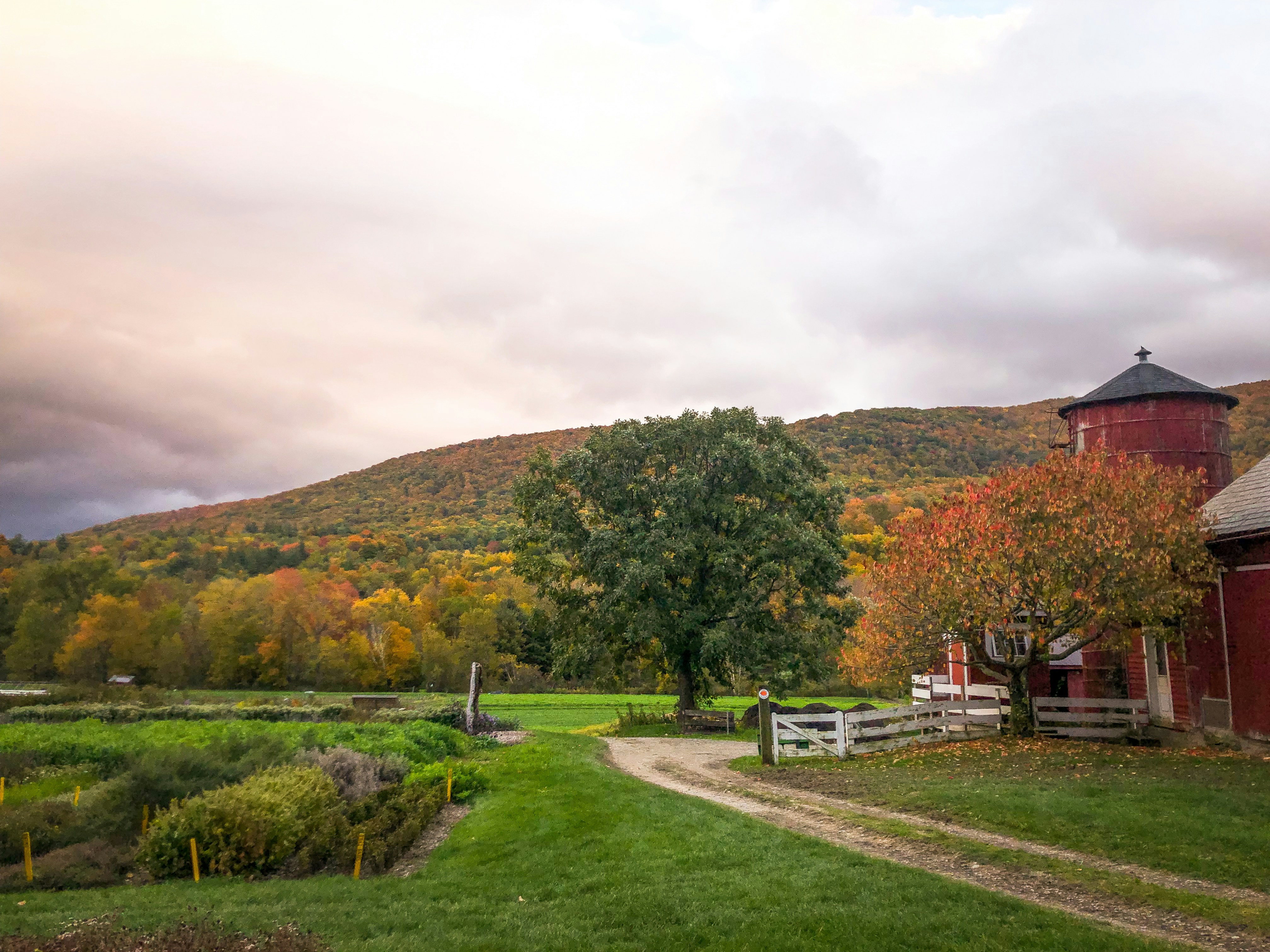 Photo by bonniekdesign