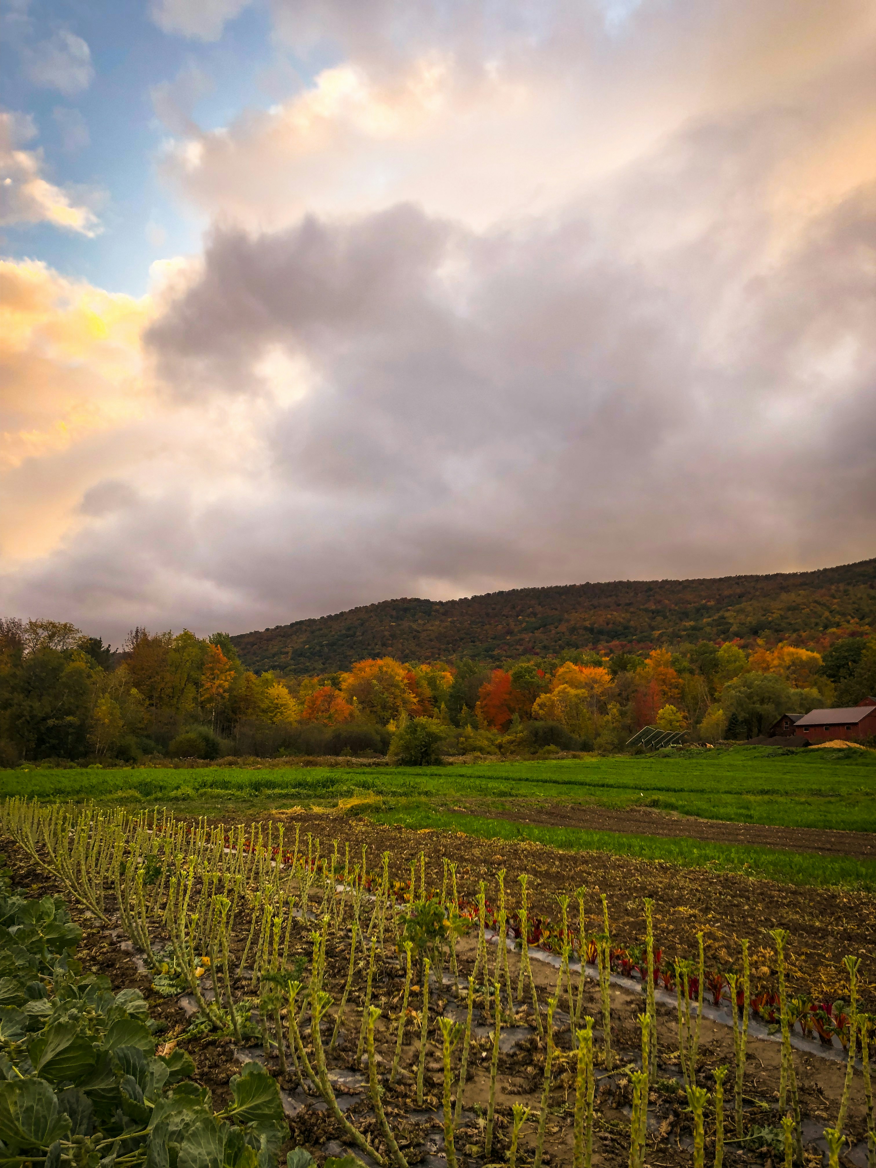 Photo by bonniekdesign