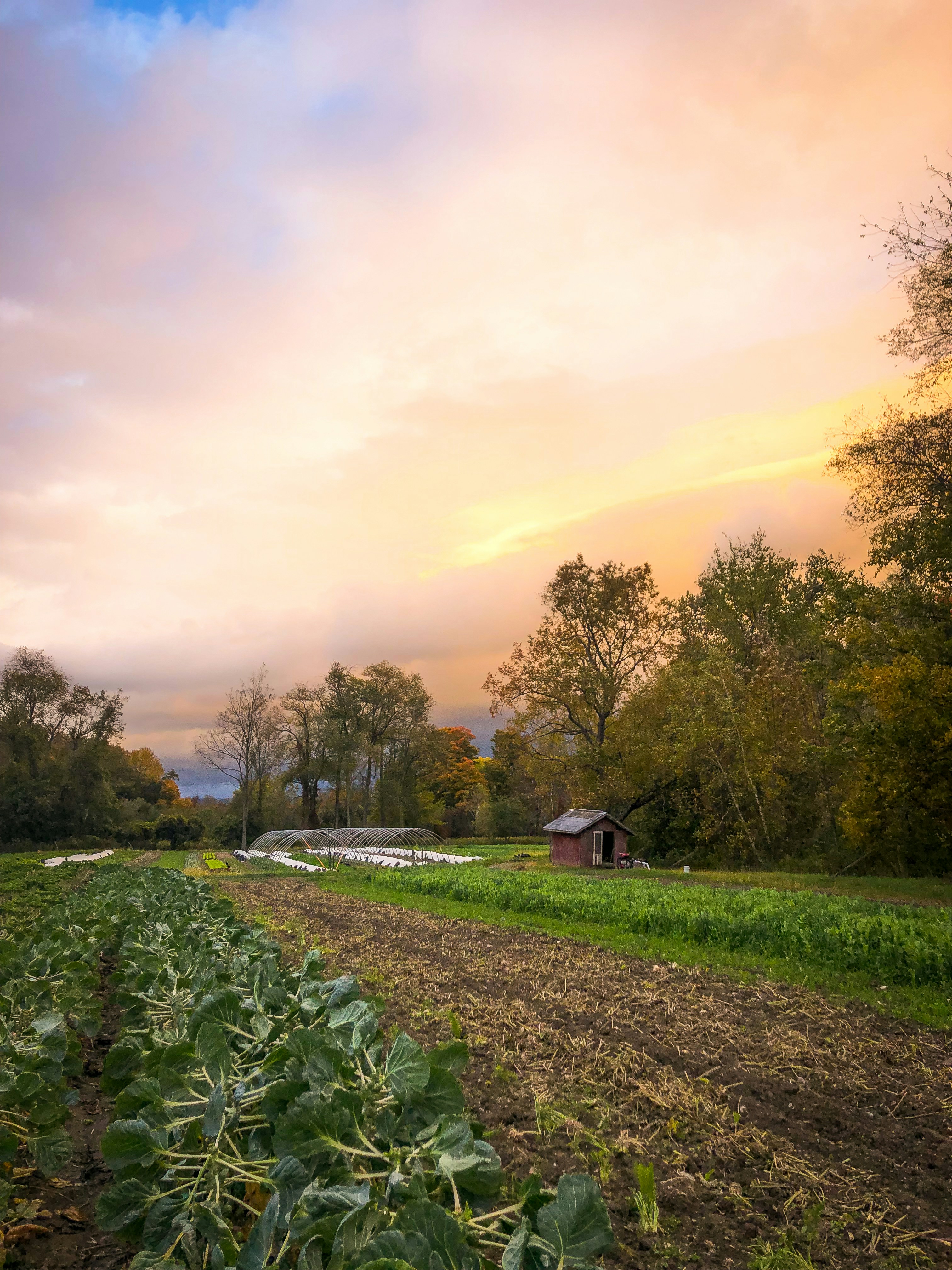 Nông sản sạch Phú Hữu