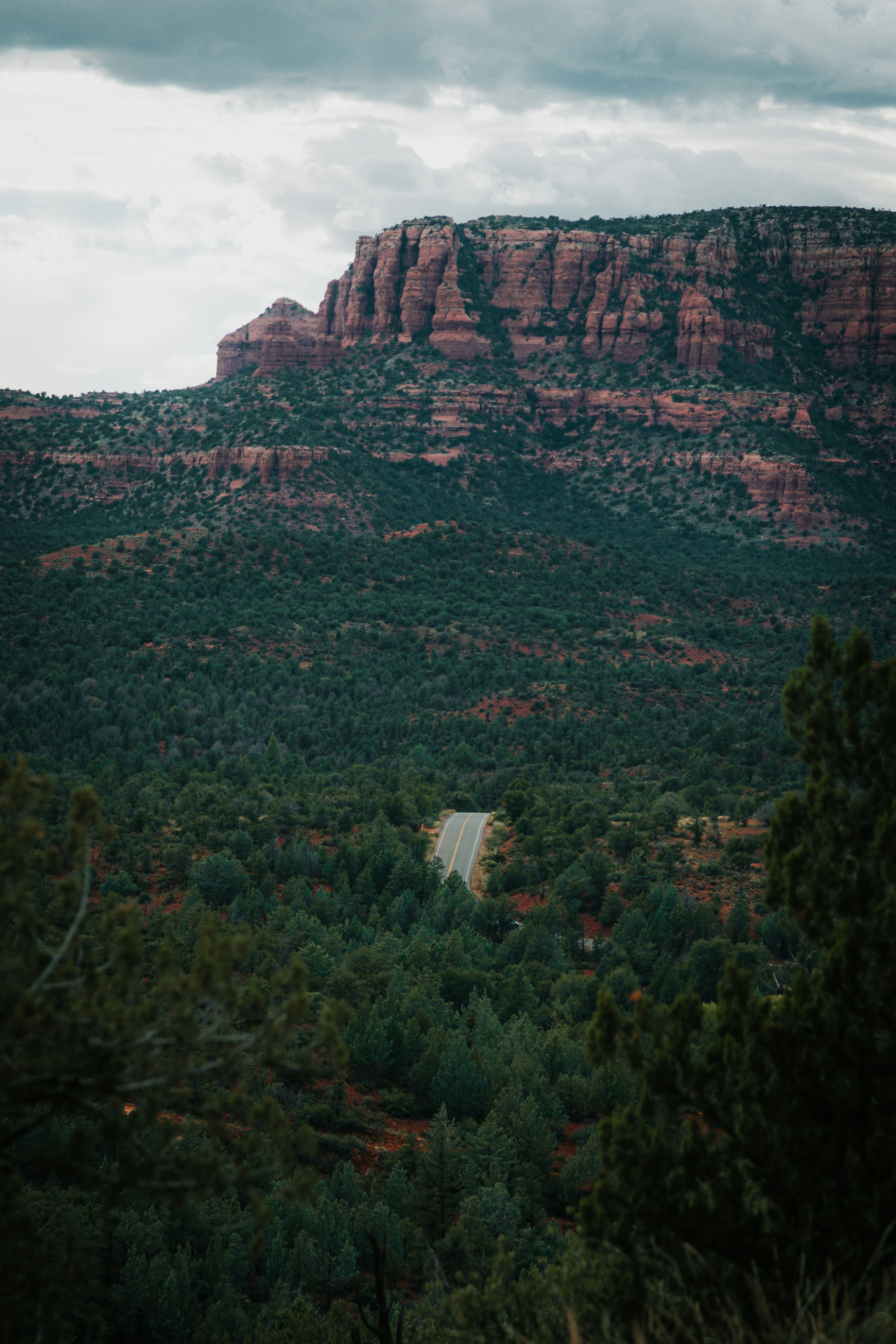 Photo by jeffersonsees