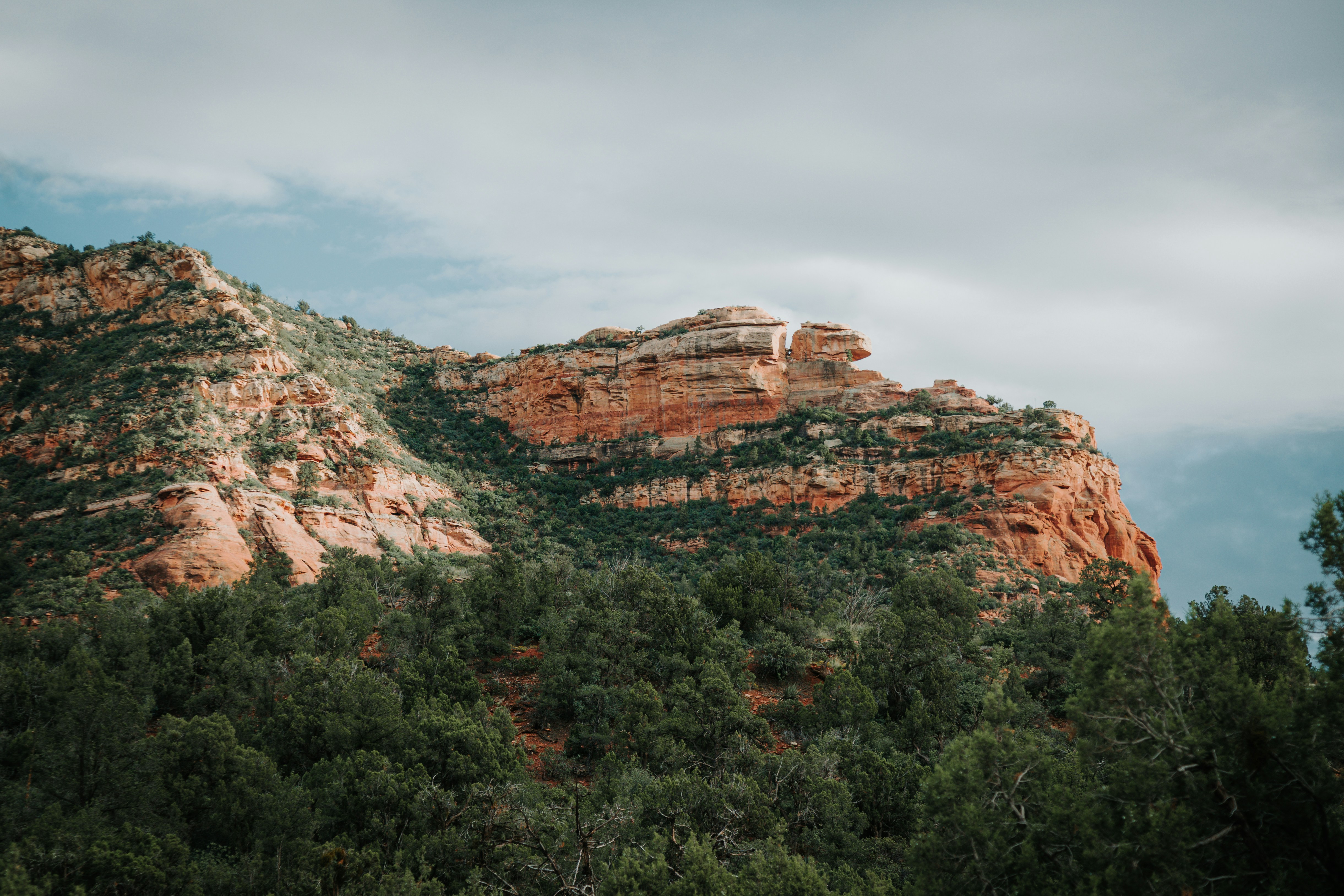 Photo by jeffersonsees