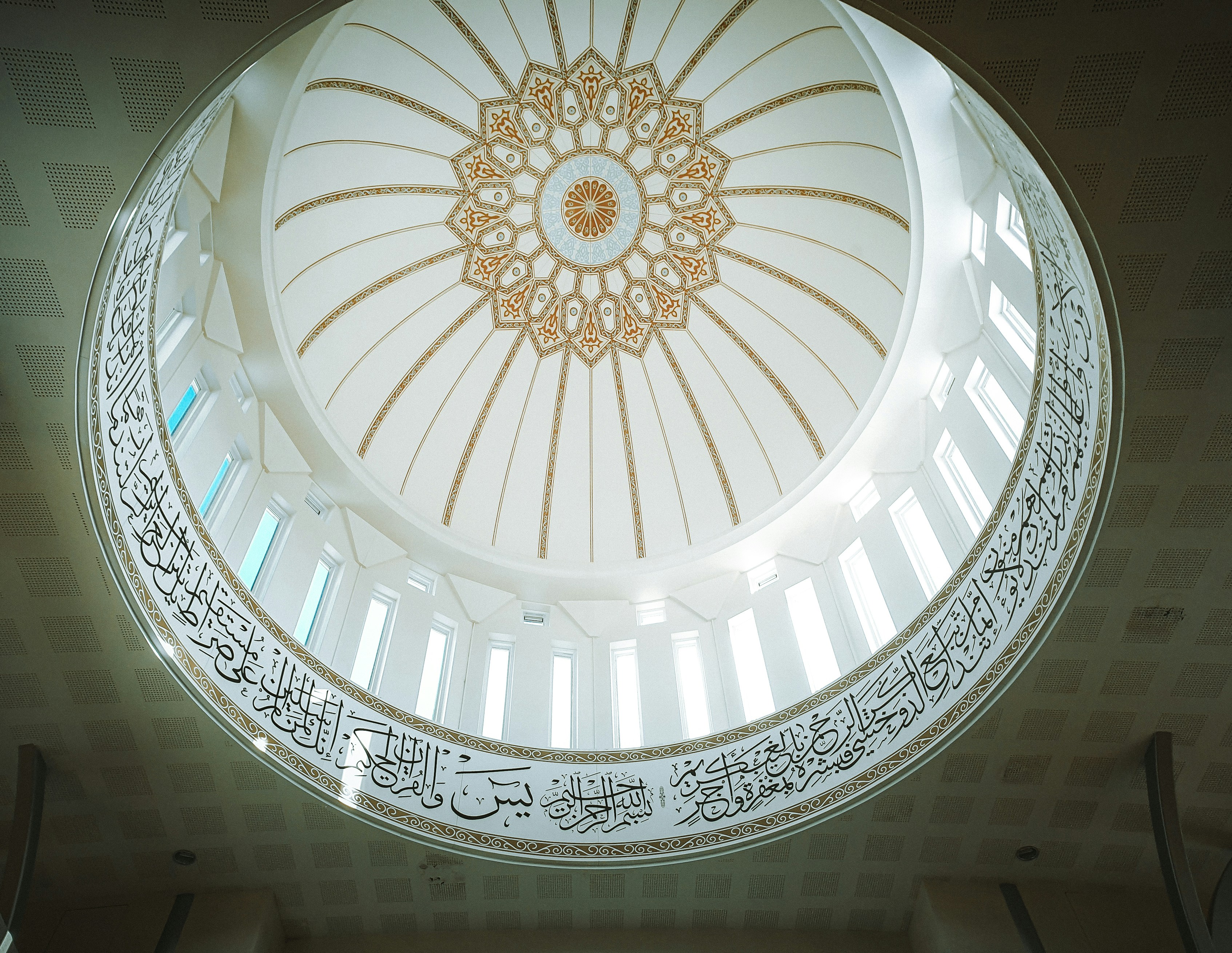 Why Do Children Confuse Similar Arabic Letters?