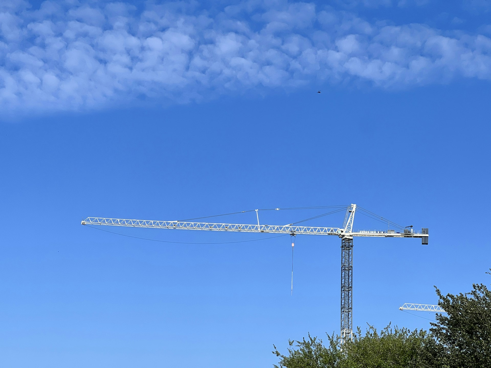 a crane in the sky