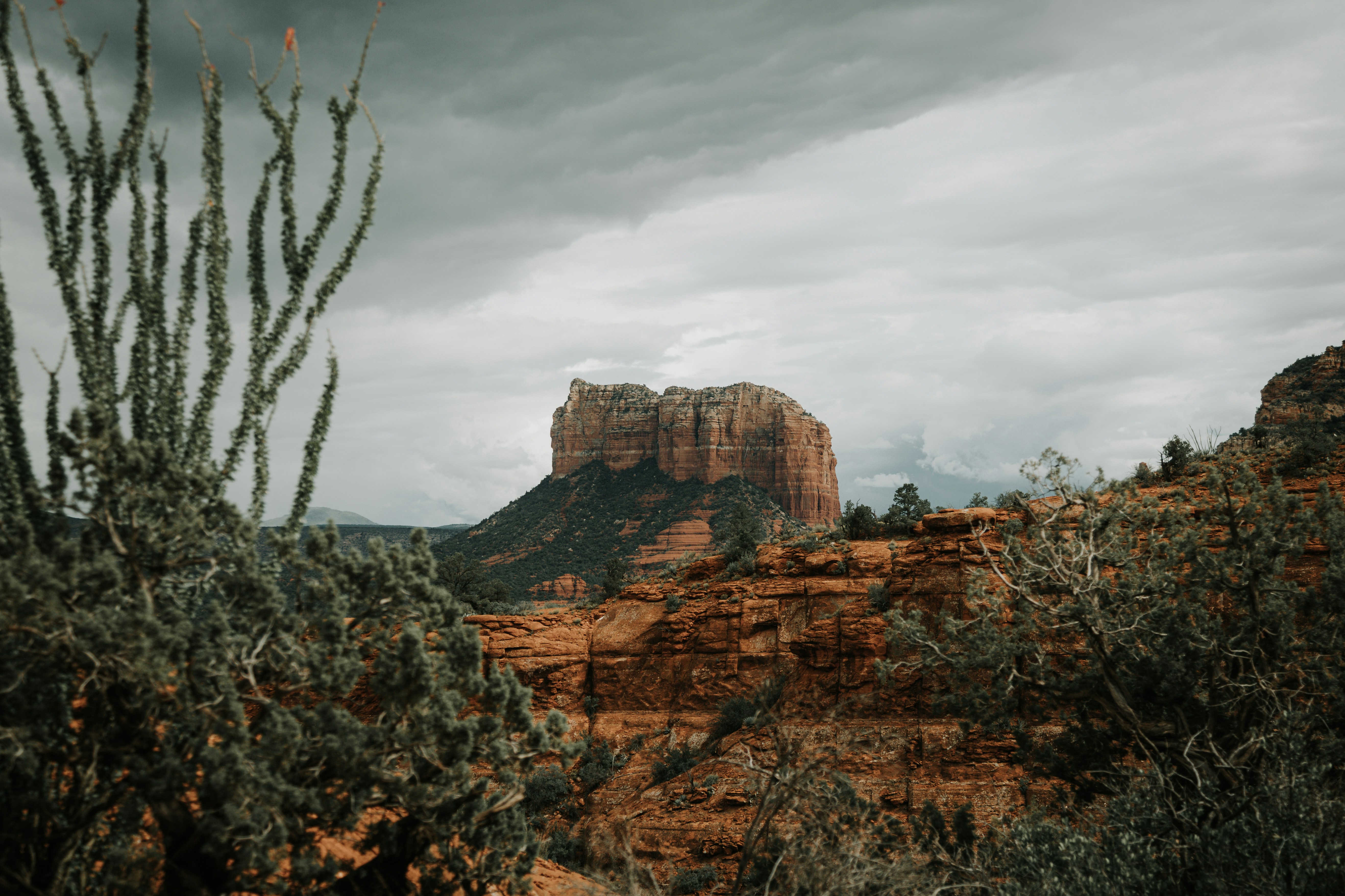 Photo by jeffersonsees