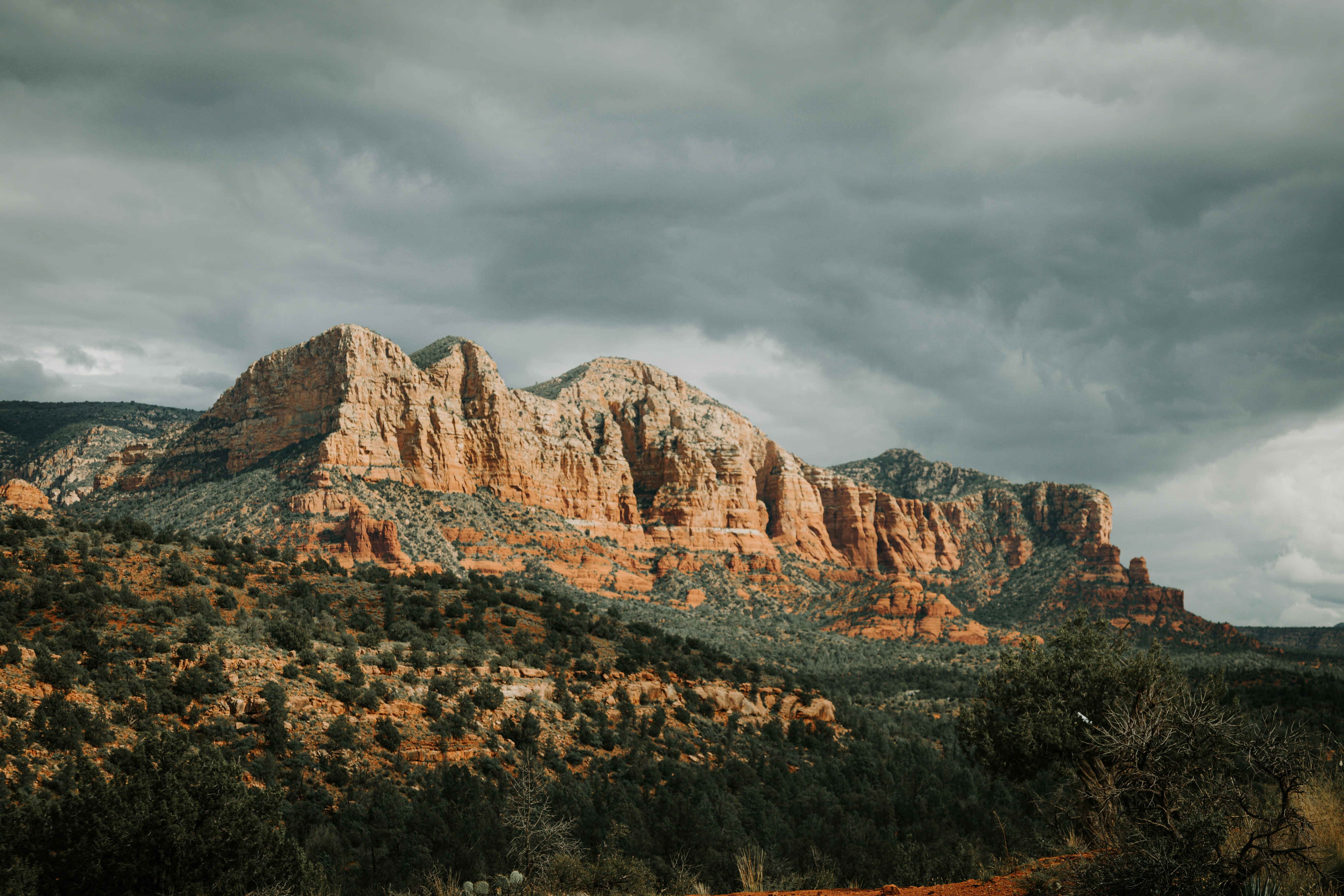 Photo by jeffersonsees