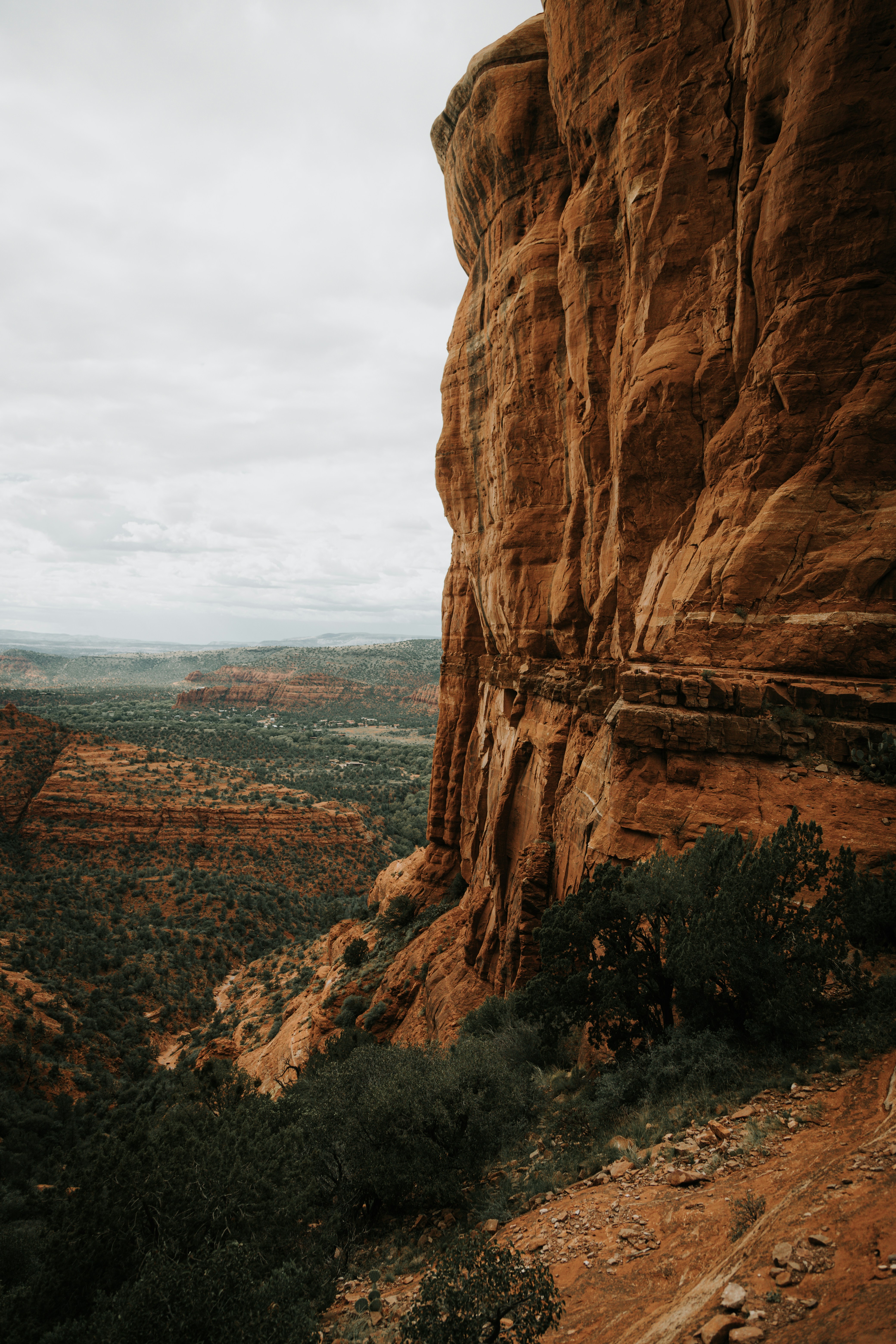 Photo by jeffersonsees