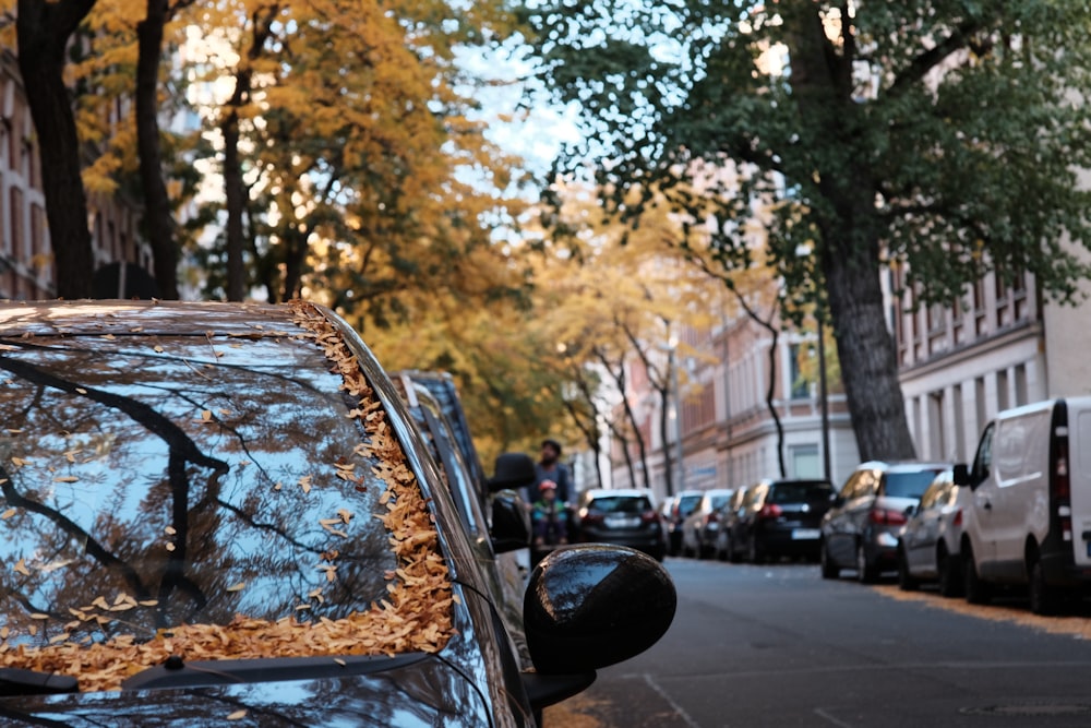 a view of a street with cars and trees on the side