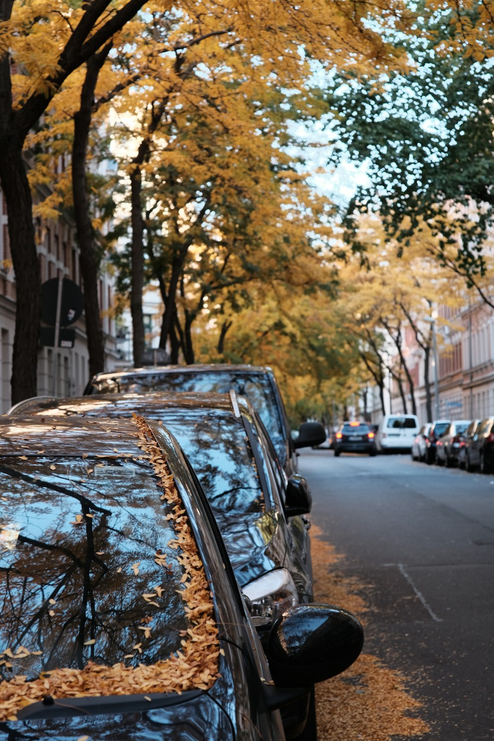 a car parked on the side of a road with trees on the side