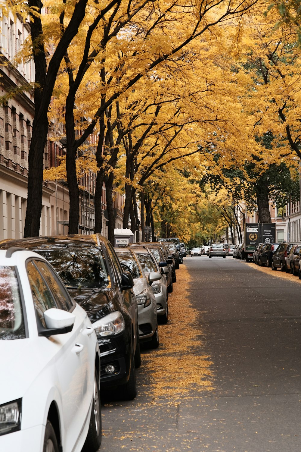 a row of parked cars