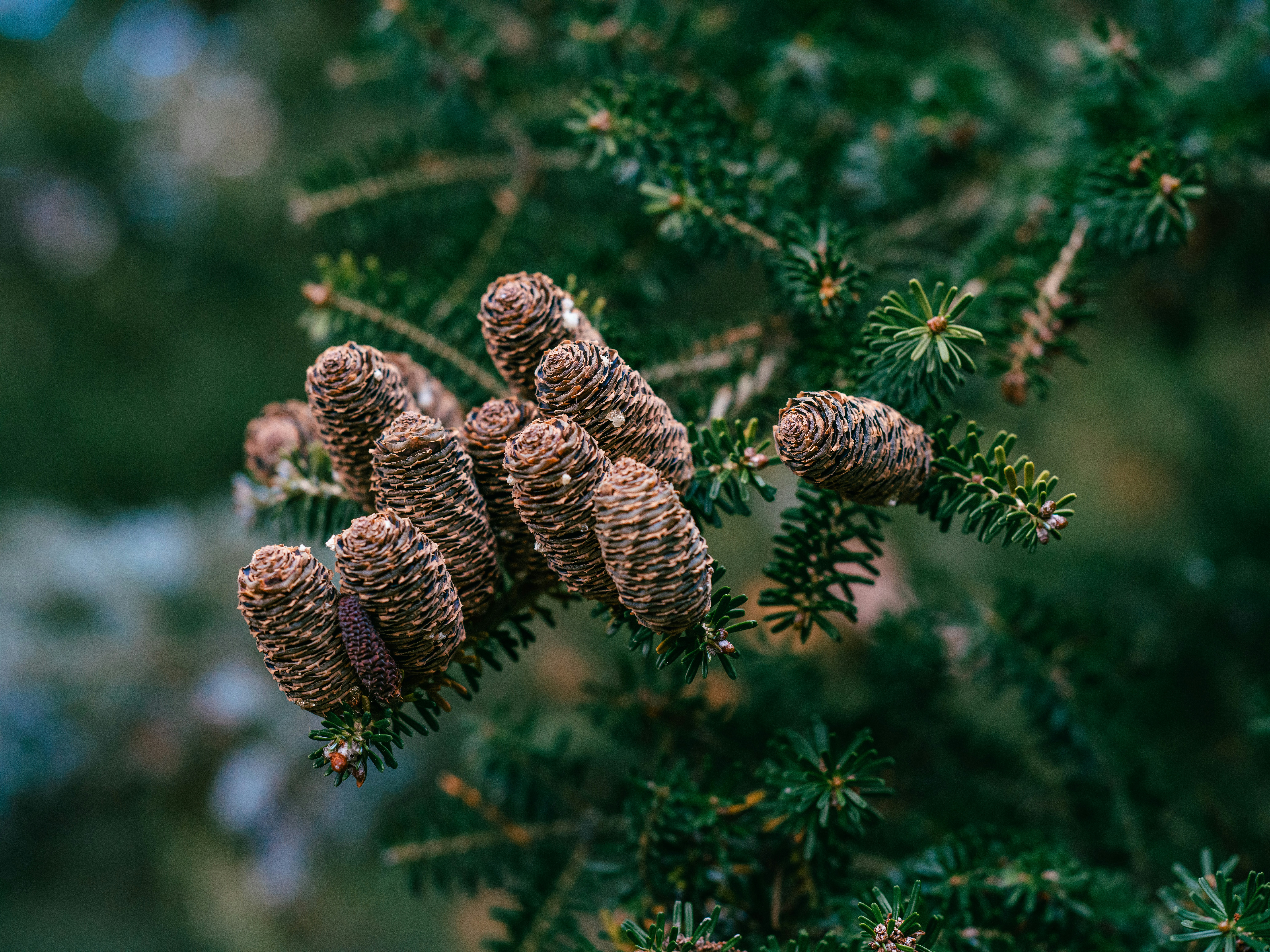 Photo by egorkomarov