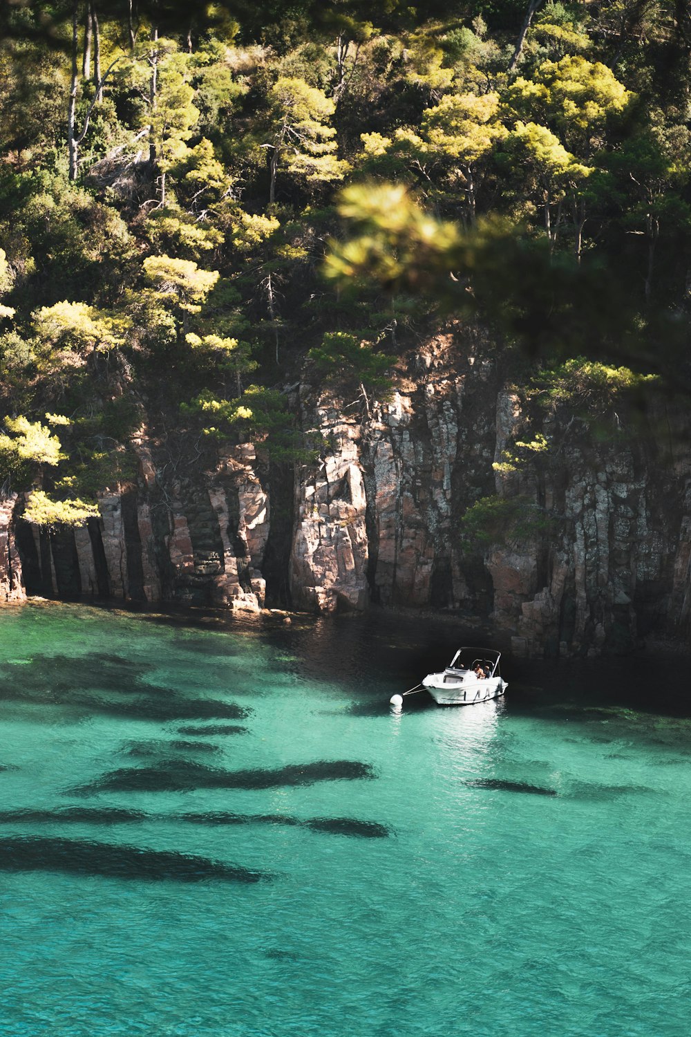 a boat on a river surrounded by trees