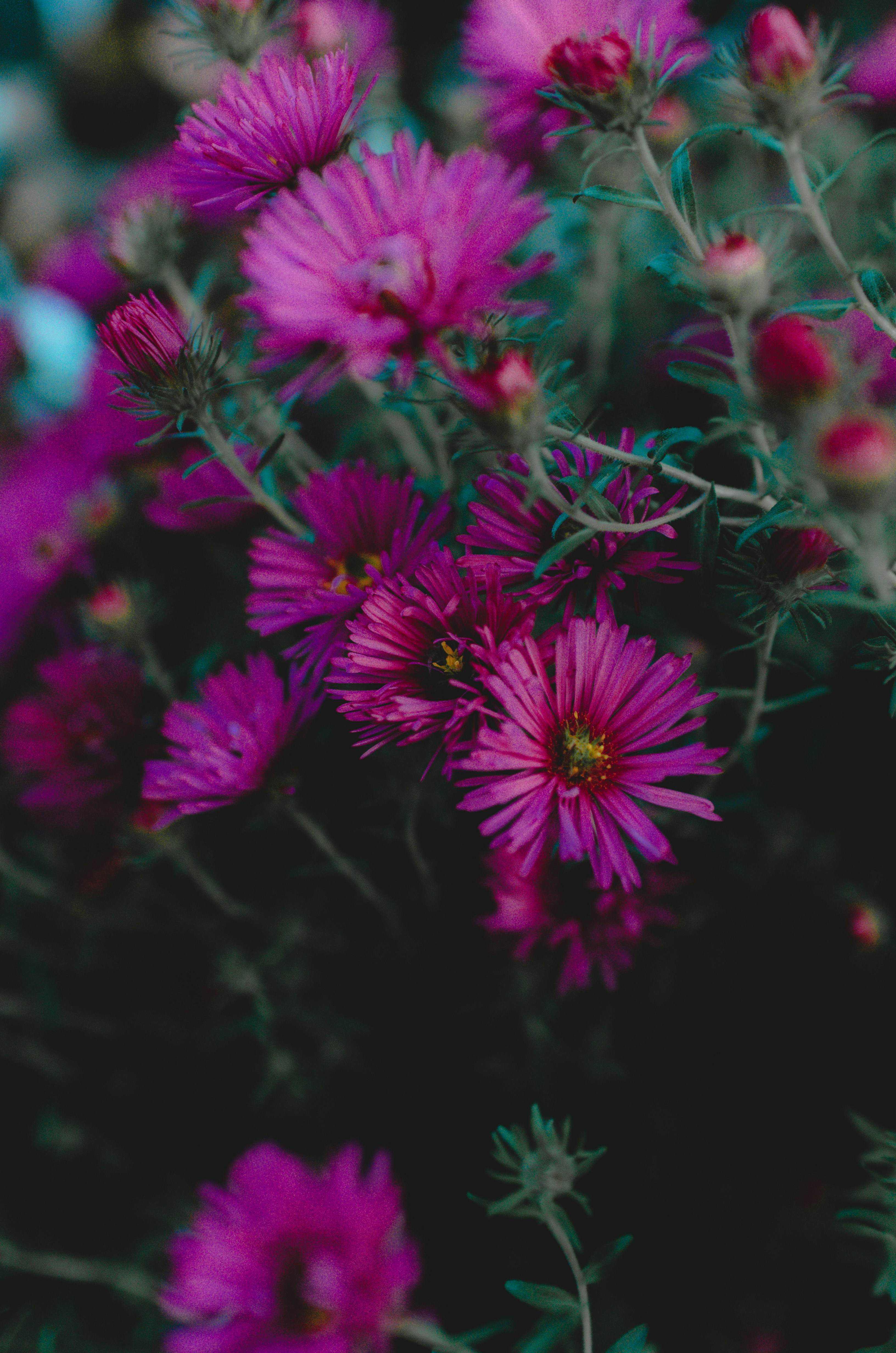 Photo by gamanalice3012