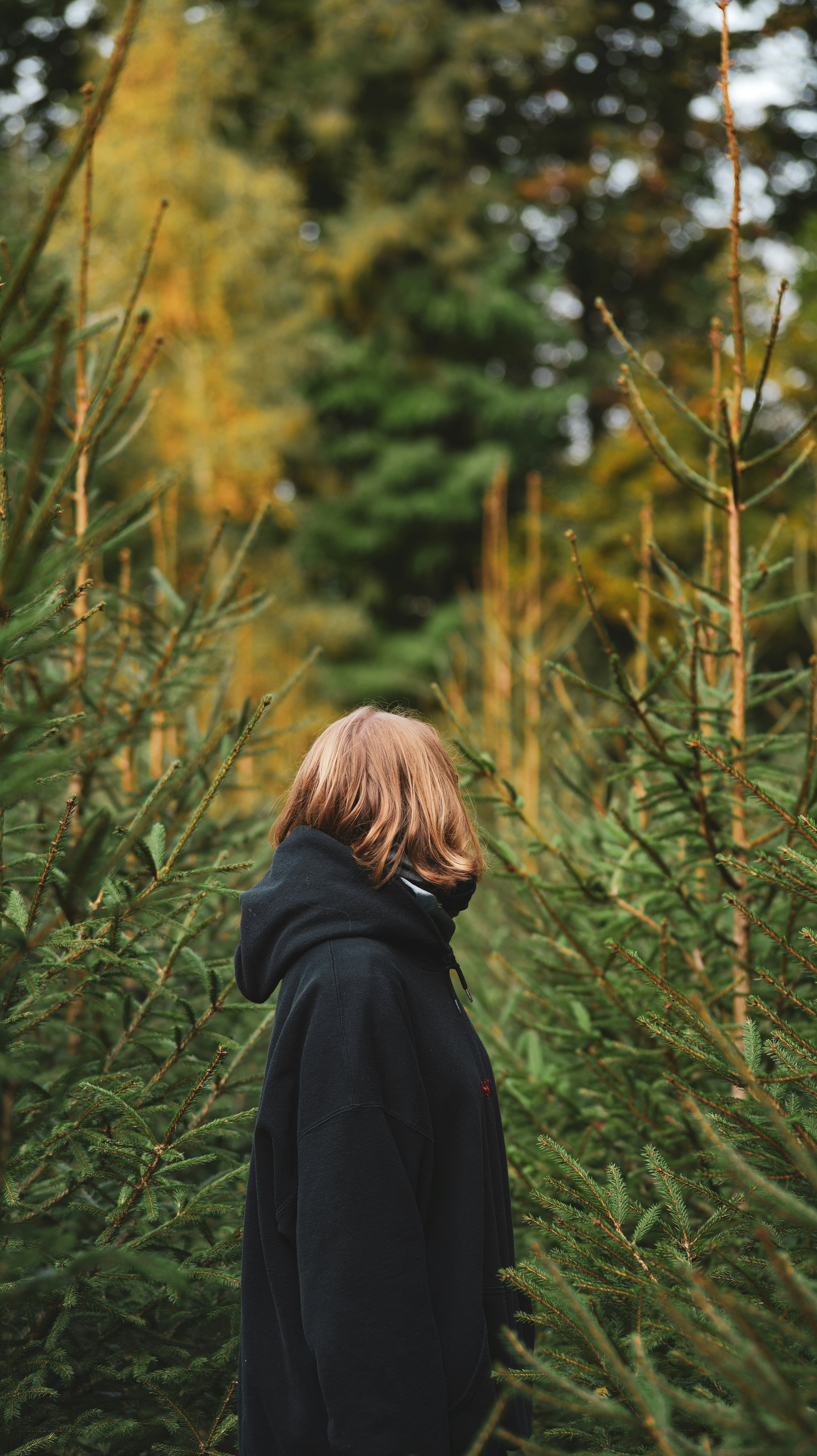 a person standing in a forest