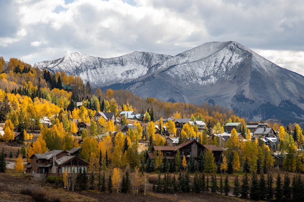 a group of houses in a wooded area with mountains in the background
