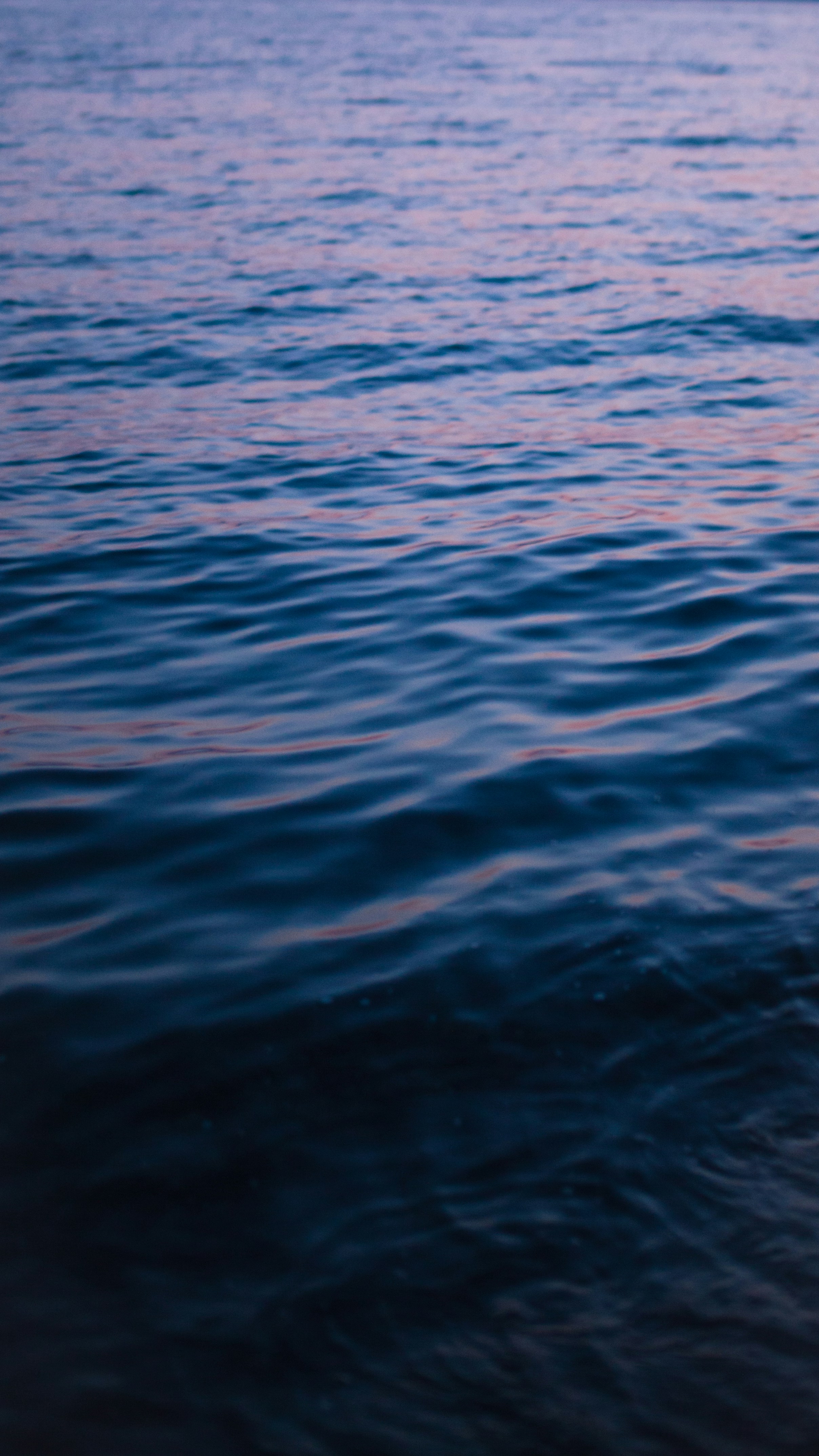 Photo by koryunhills