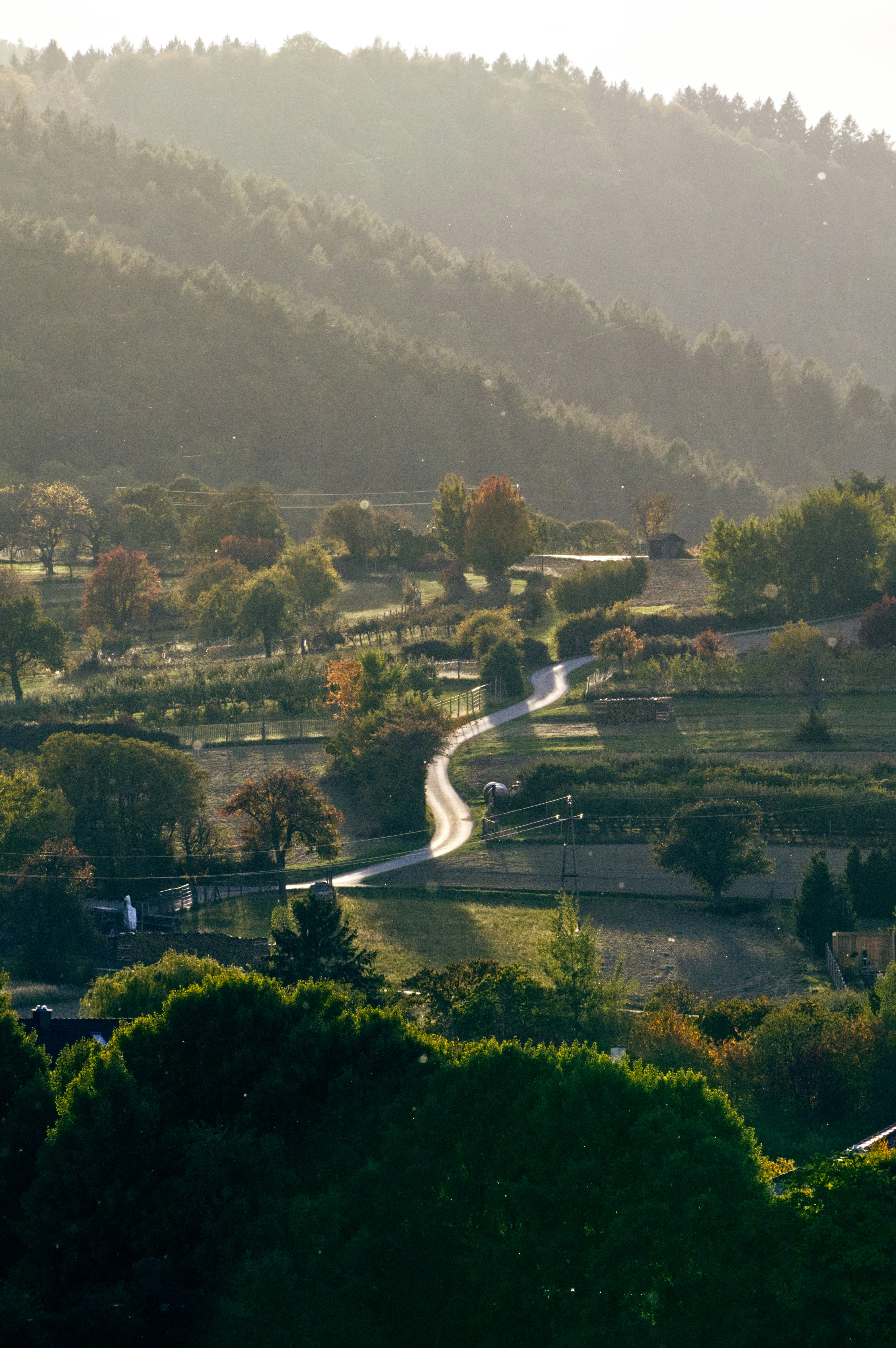 Carmel Valley, CA Real Estate Market Update 4/9/2025