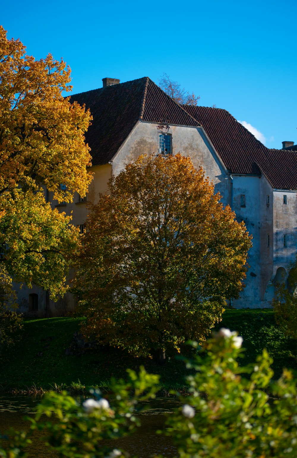 a building with trees in front of it