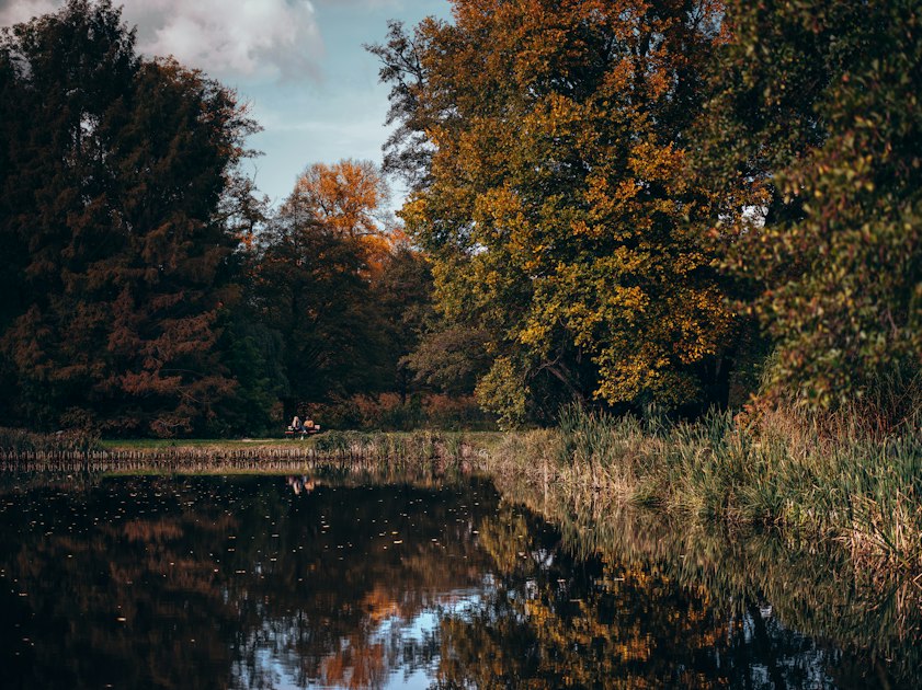 A quiet pond surrounded by autumn woods