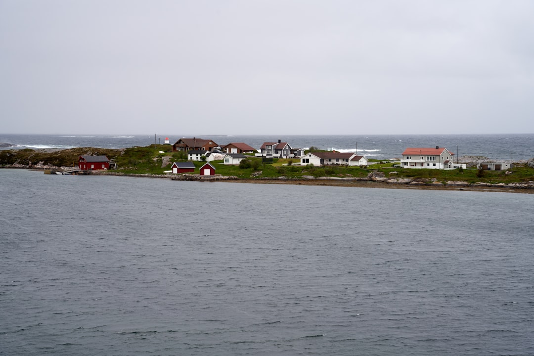 a group of houses on a hill by the water,