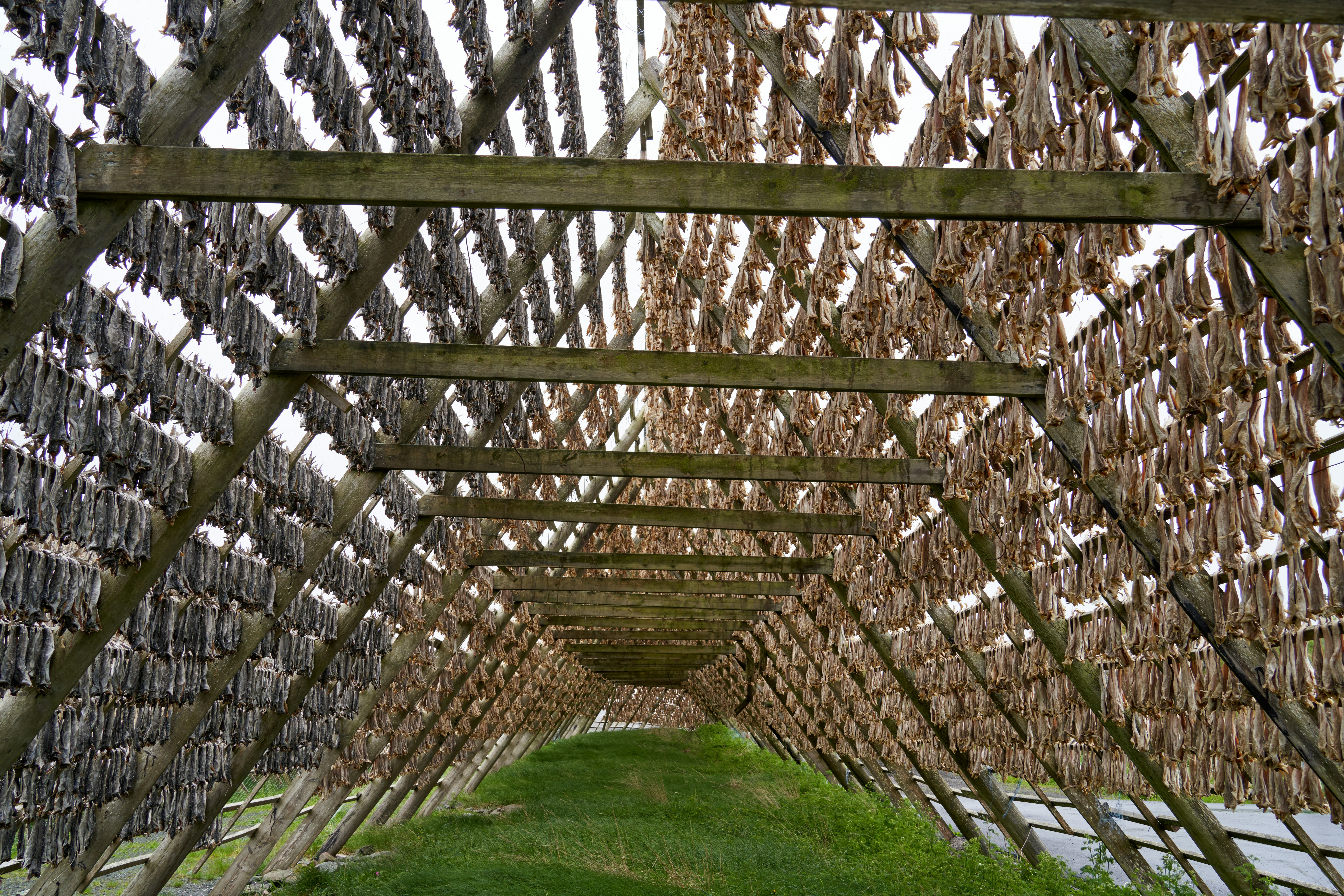 Photo by davotibarna