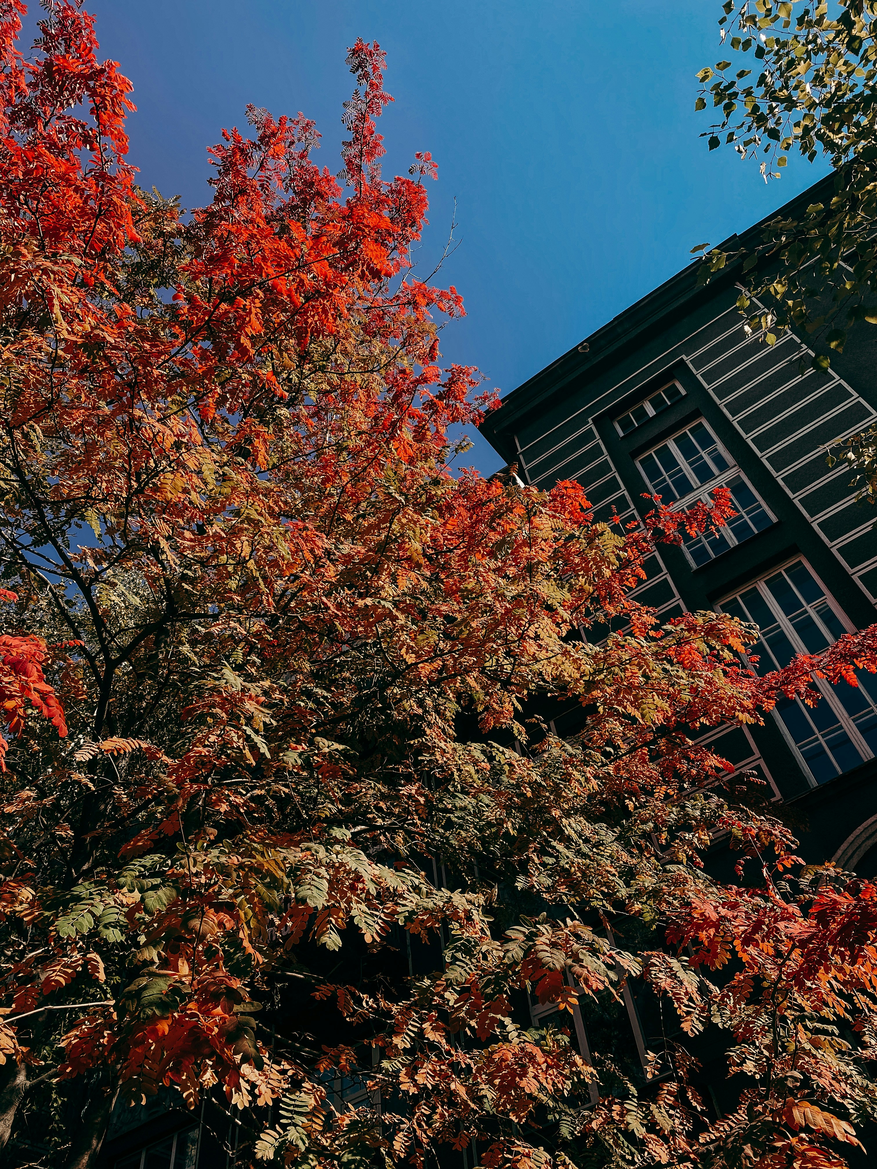 Photo by anastsiia_voitenko