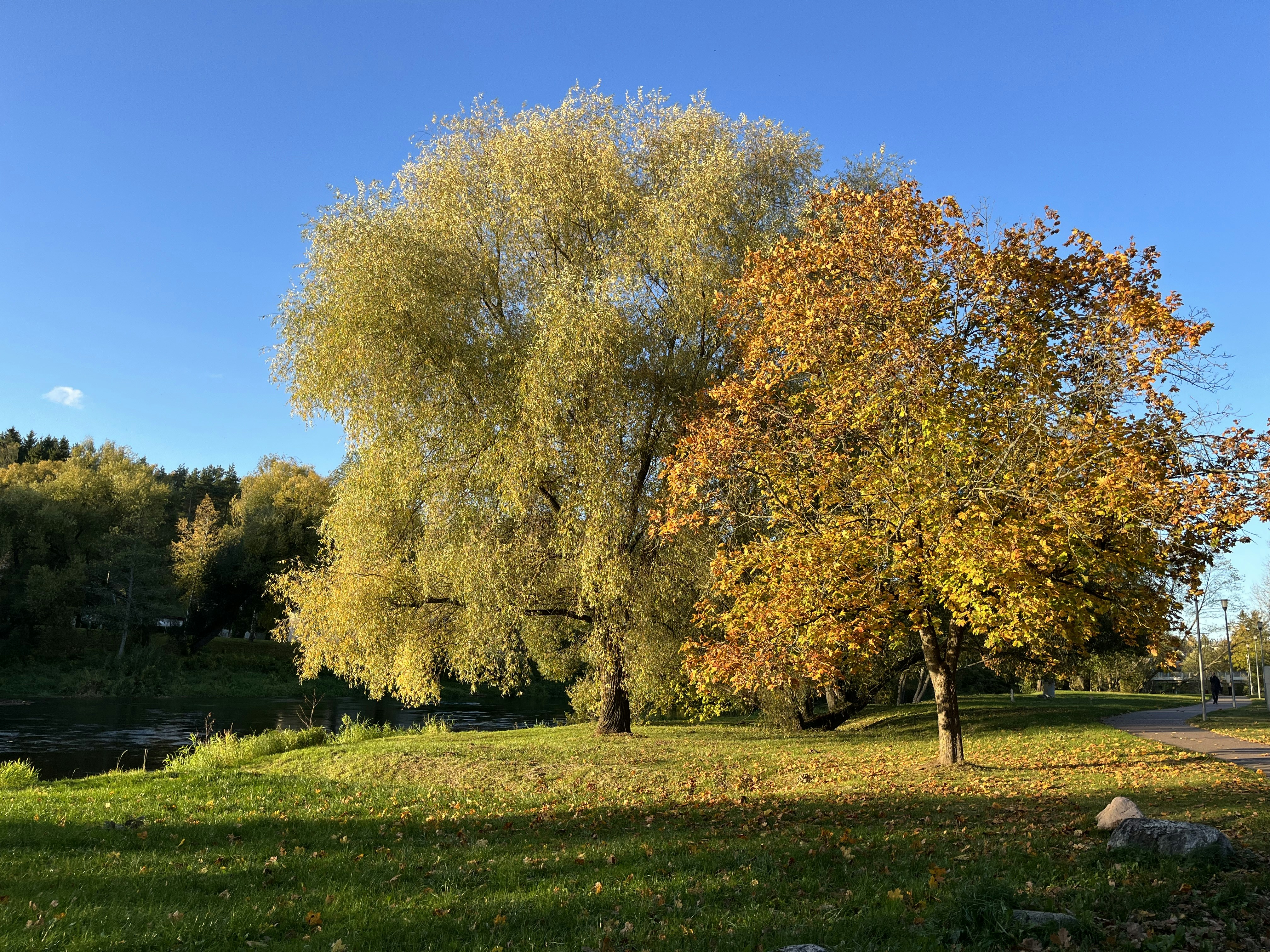 Anyksciai travel photo