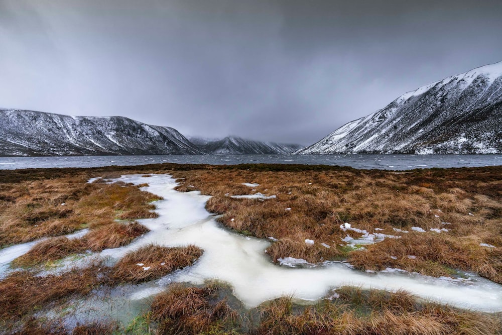 a snowy landscape with mountains in the background